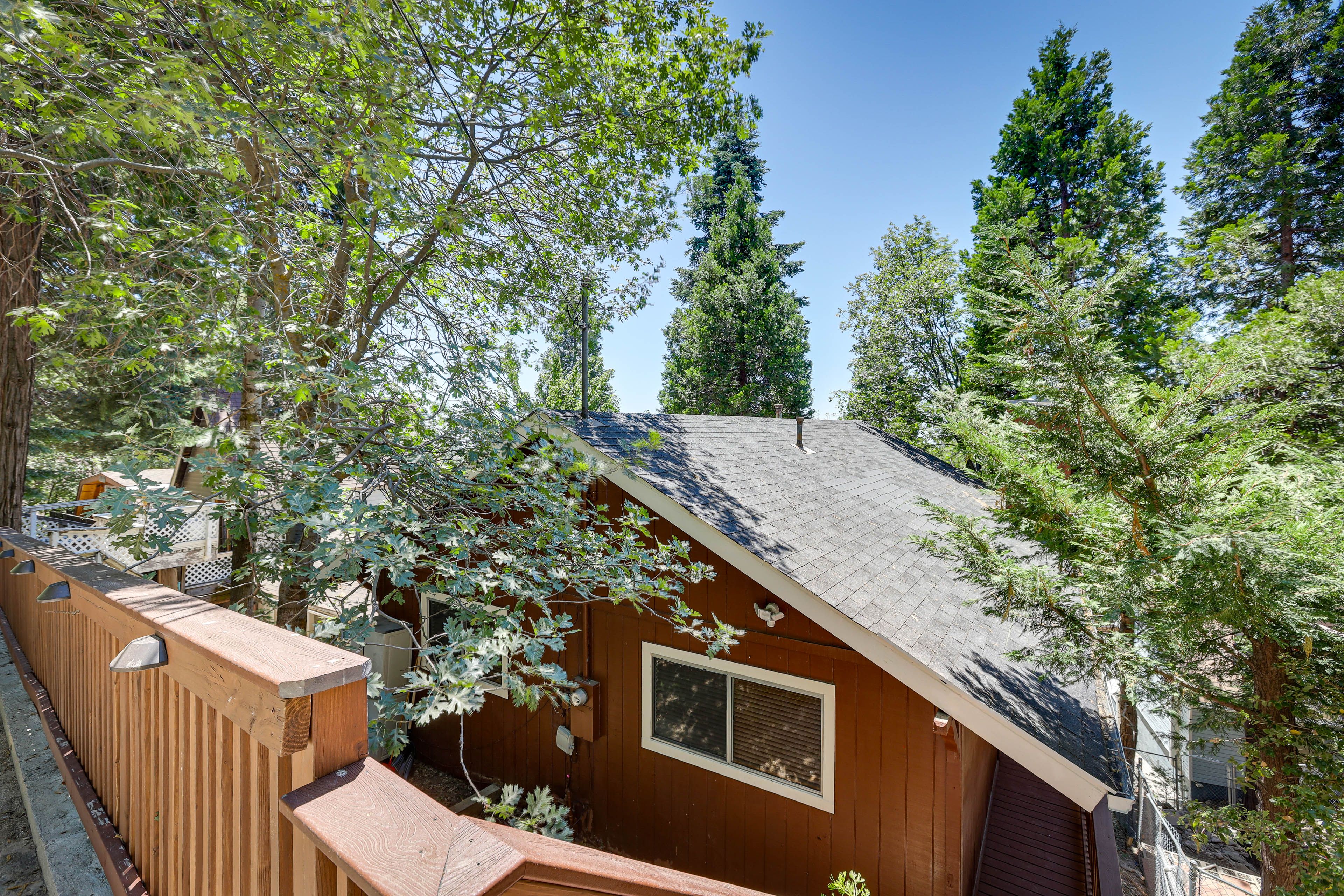 Cabin Exterior