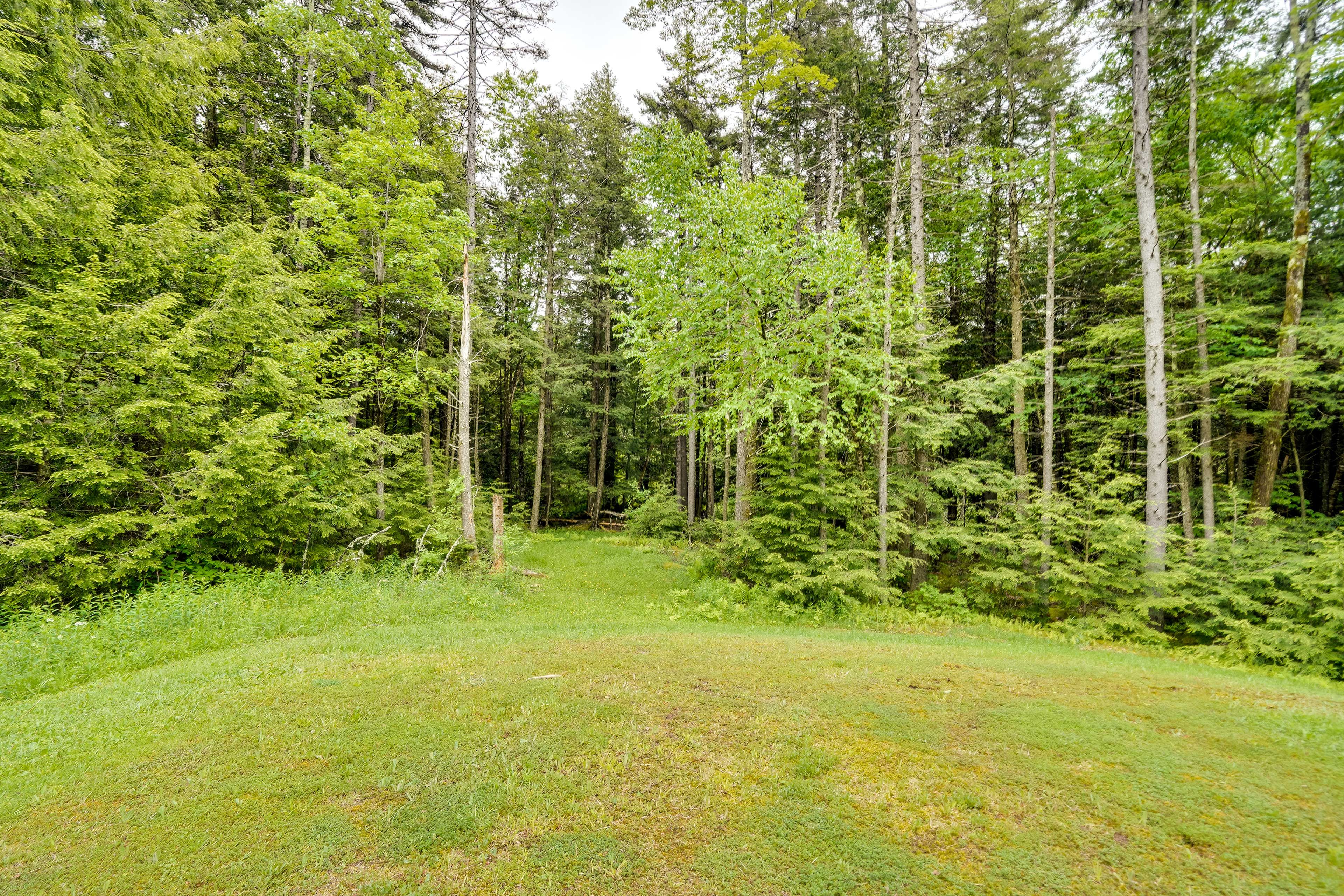 Surrounding Area