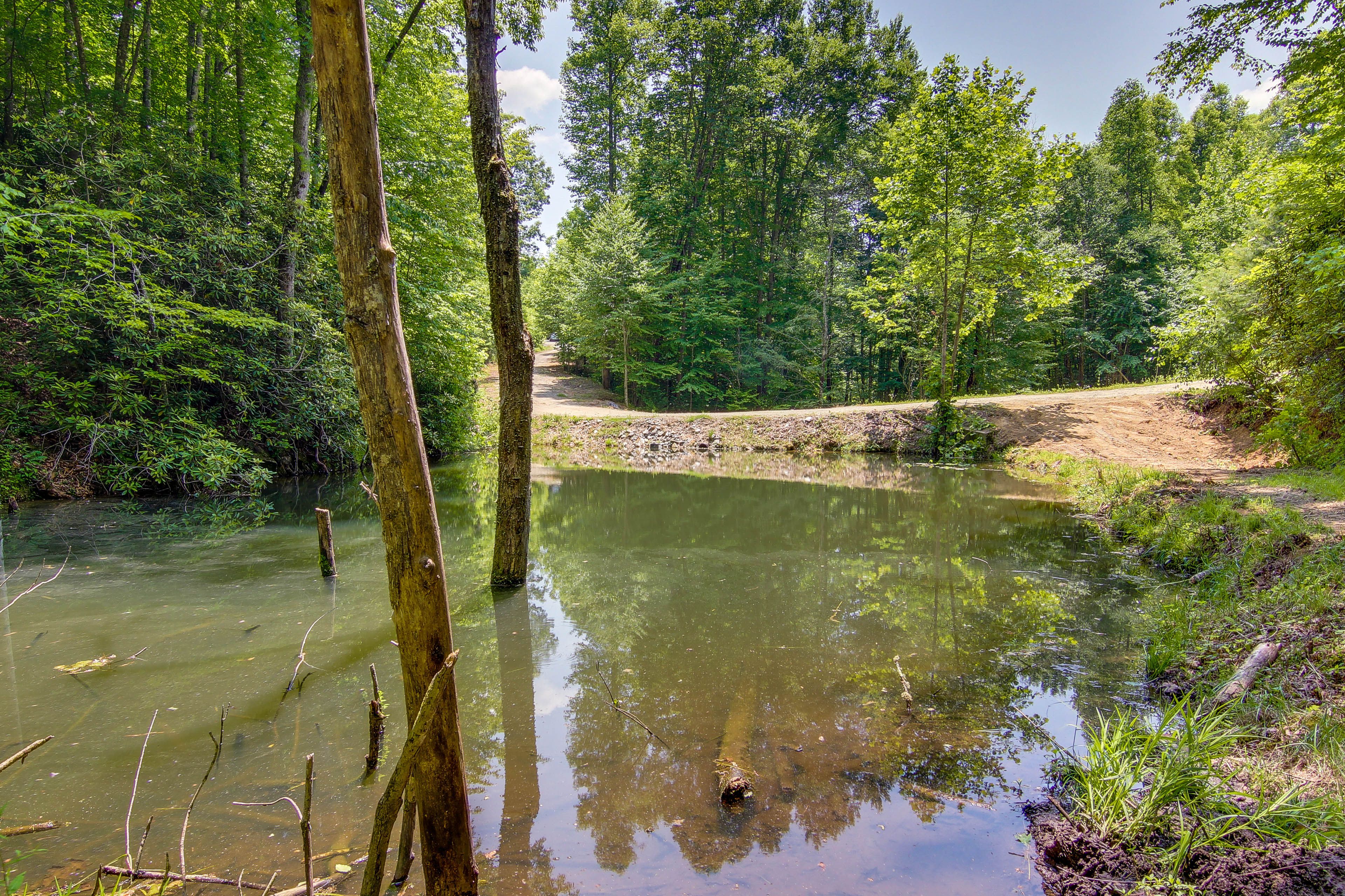Nearby Pond