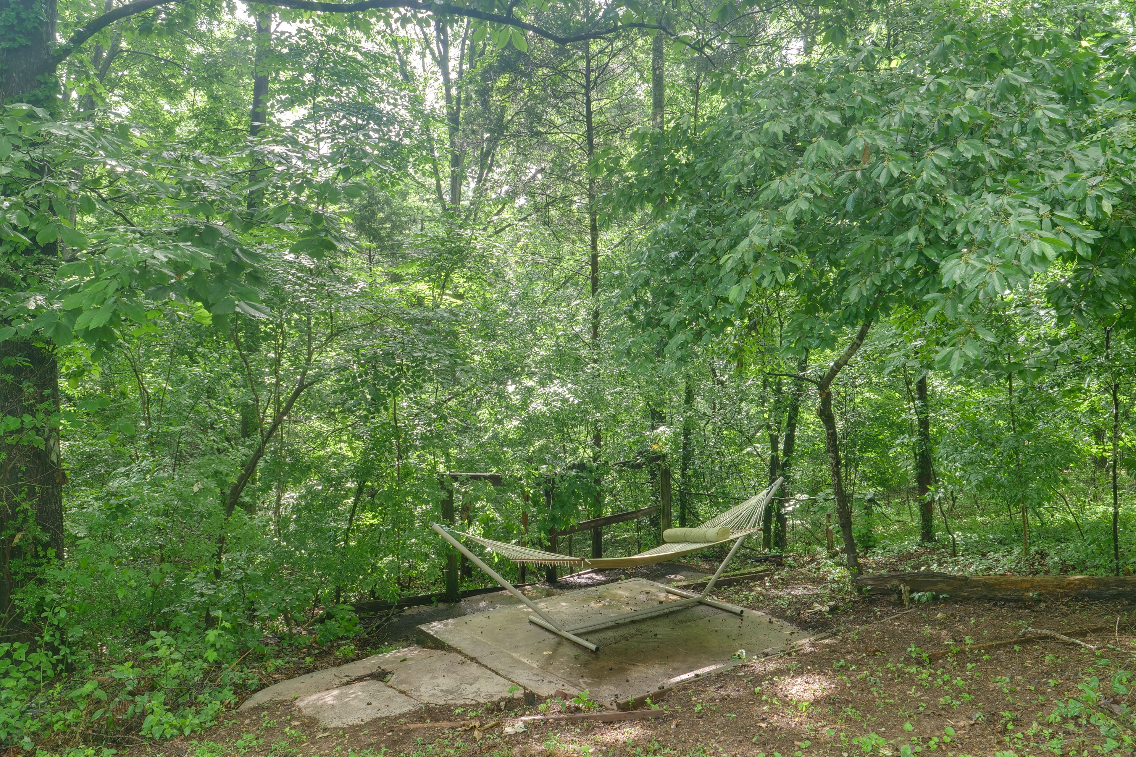 Hammock