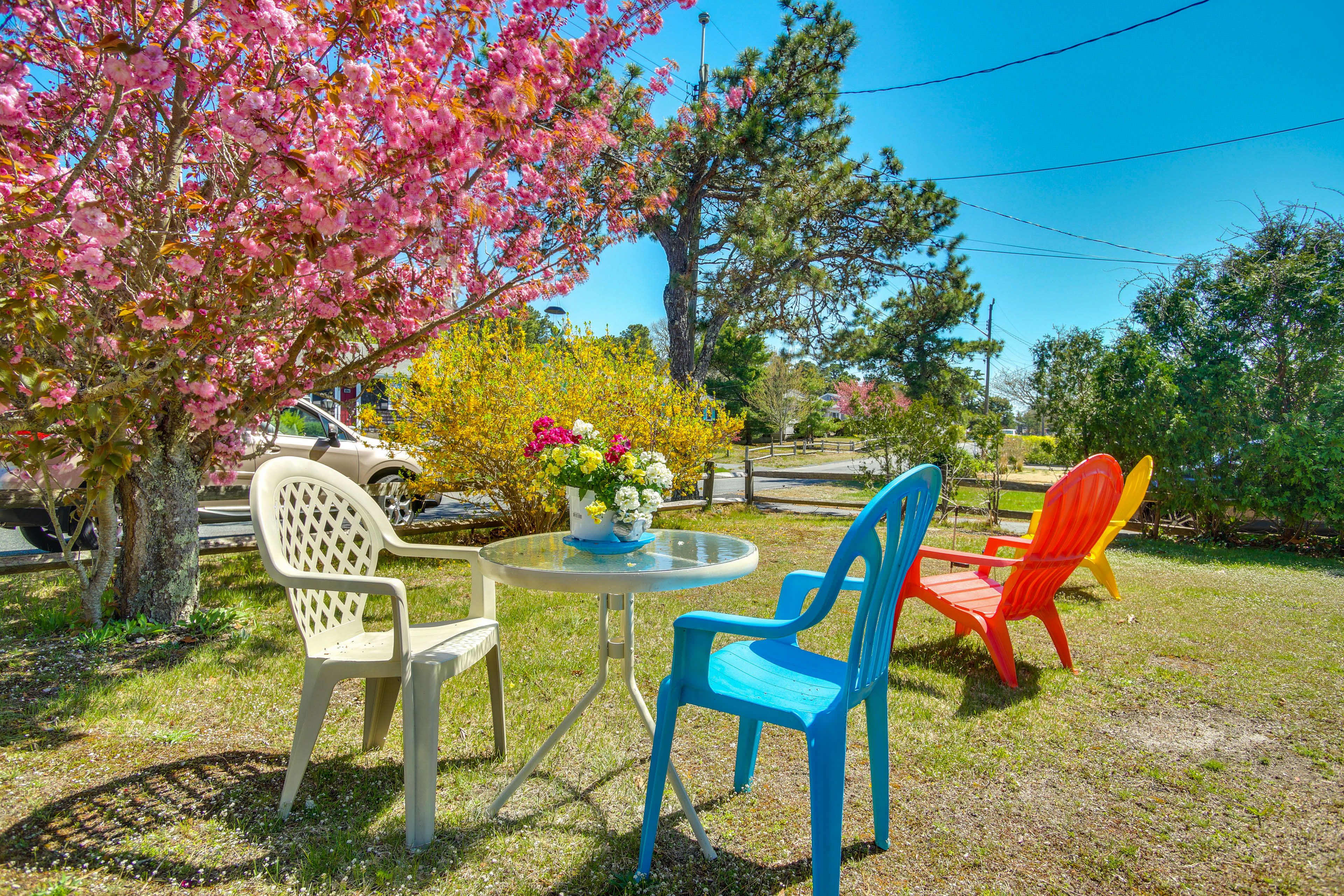 Front Yard