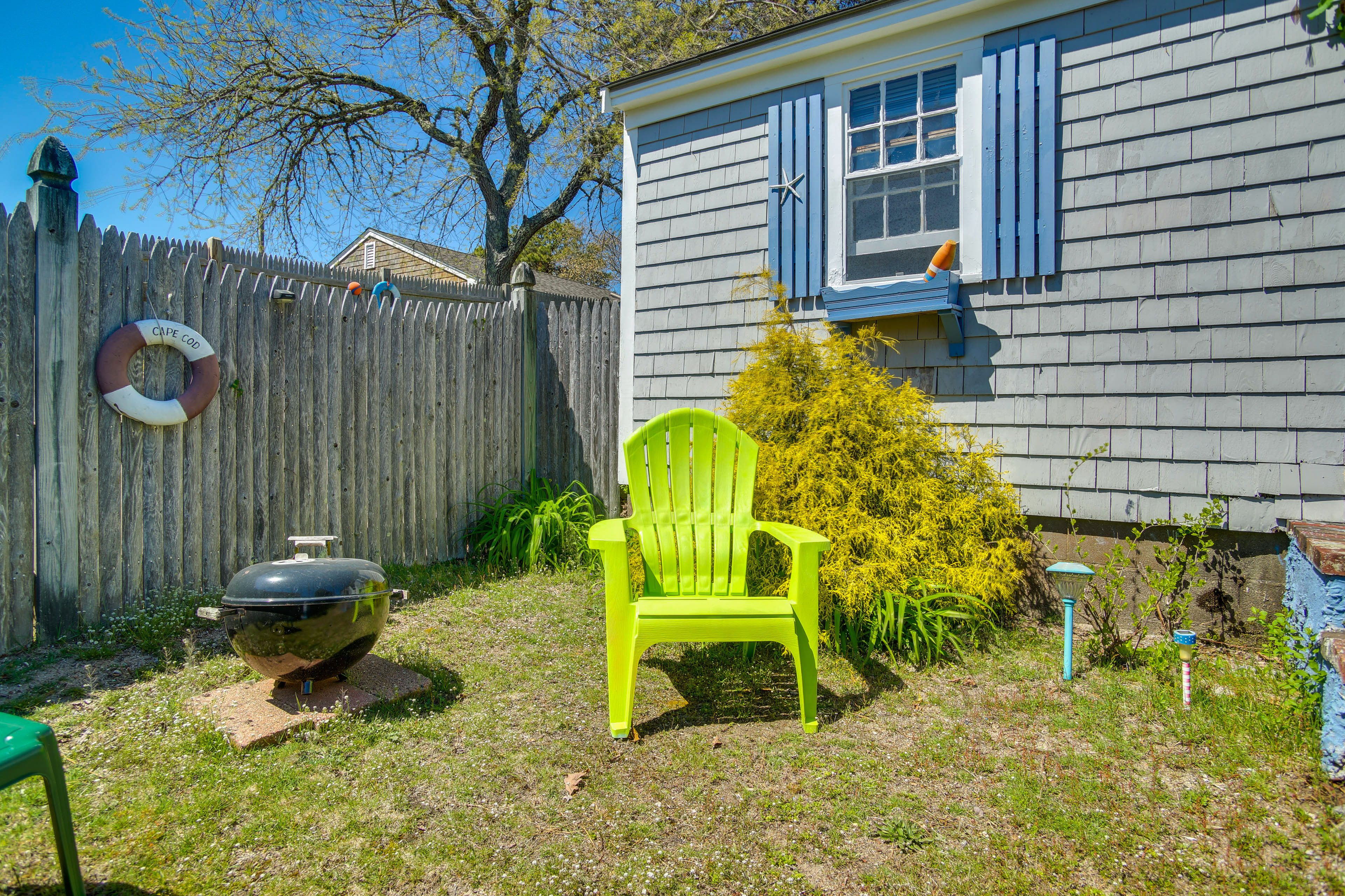 Image 19
