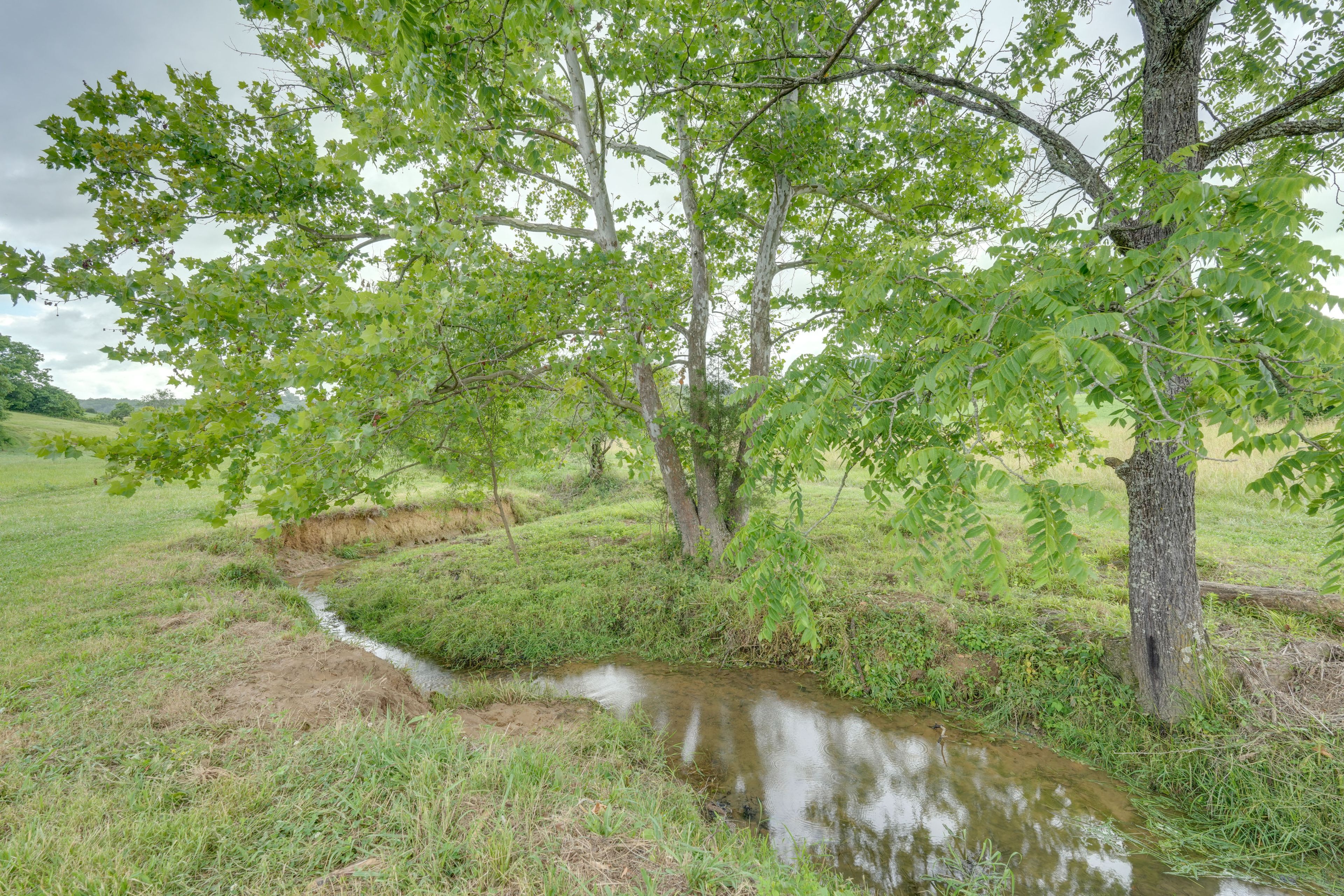 Image 24