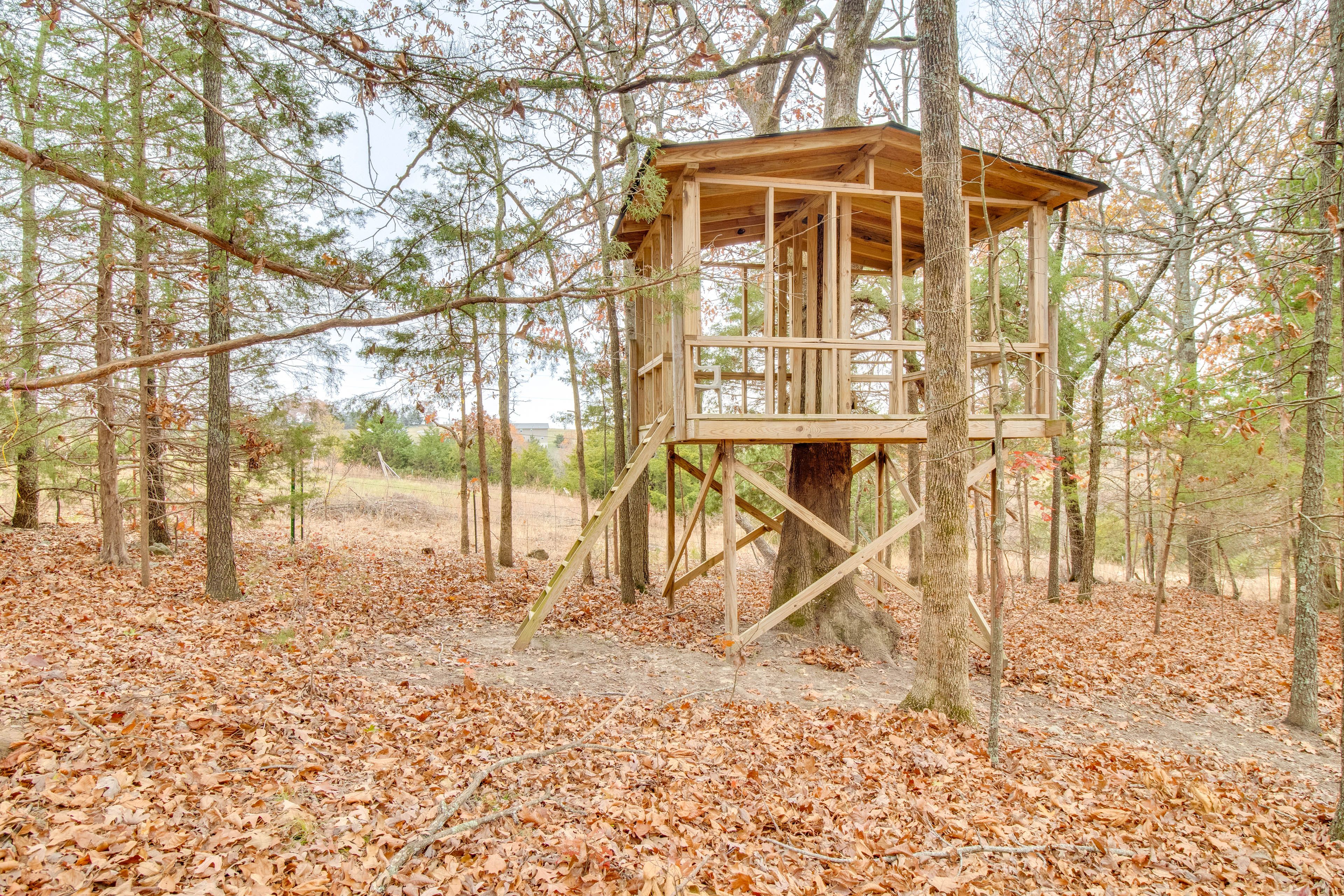 Yard | Tree House | Tire Swing