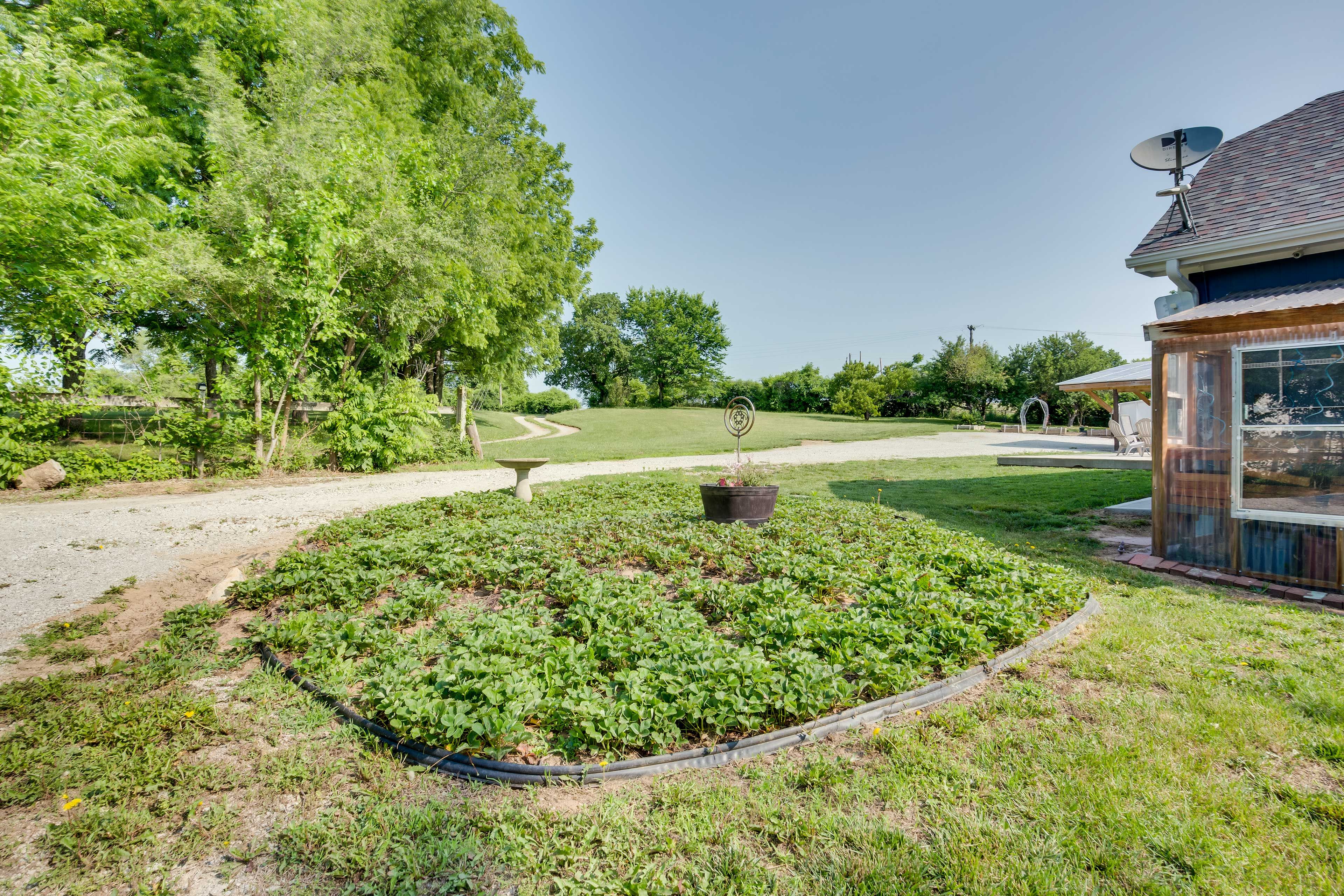 Spacious Yard | Disc Golf Baskets