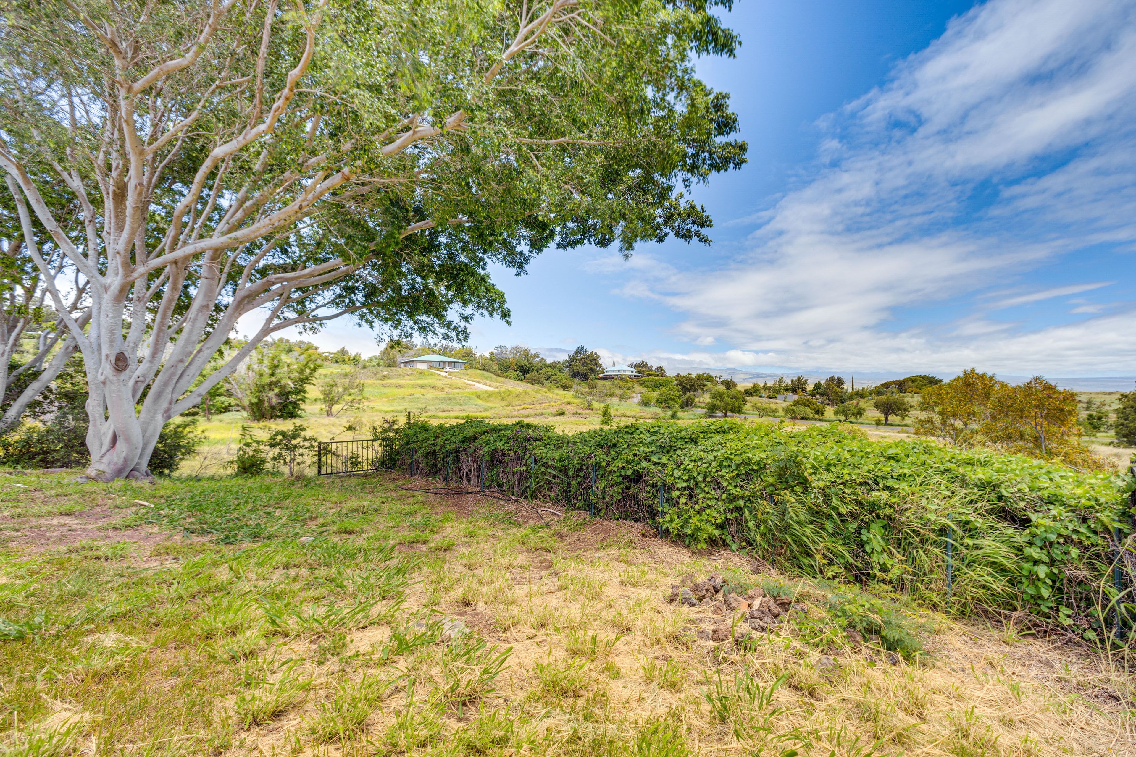 Property Views