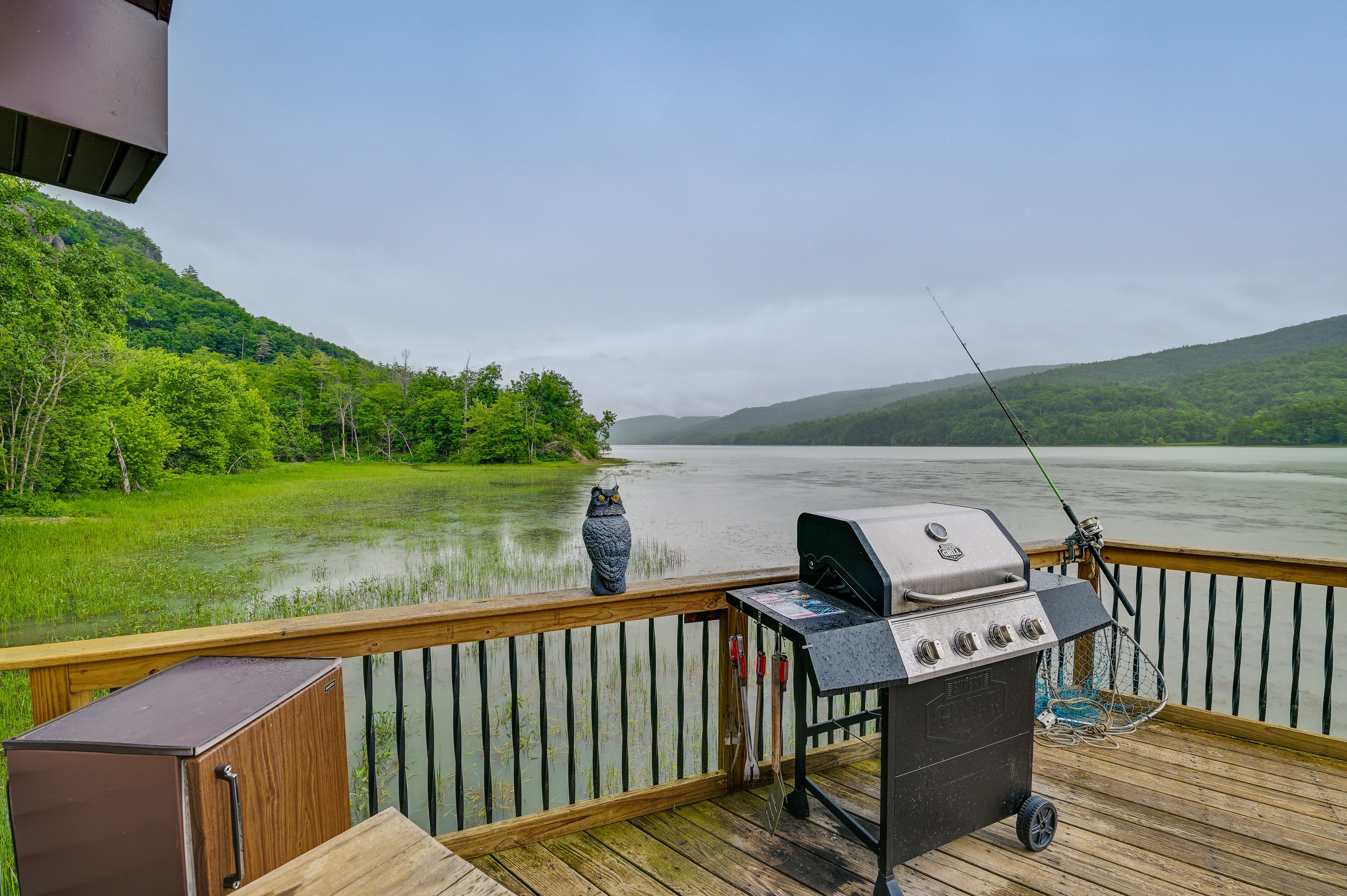 Deck | Gas Grill
