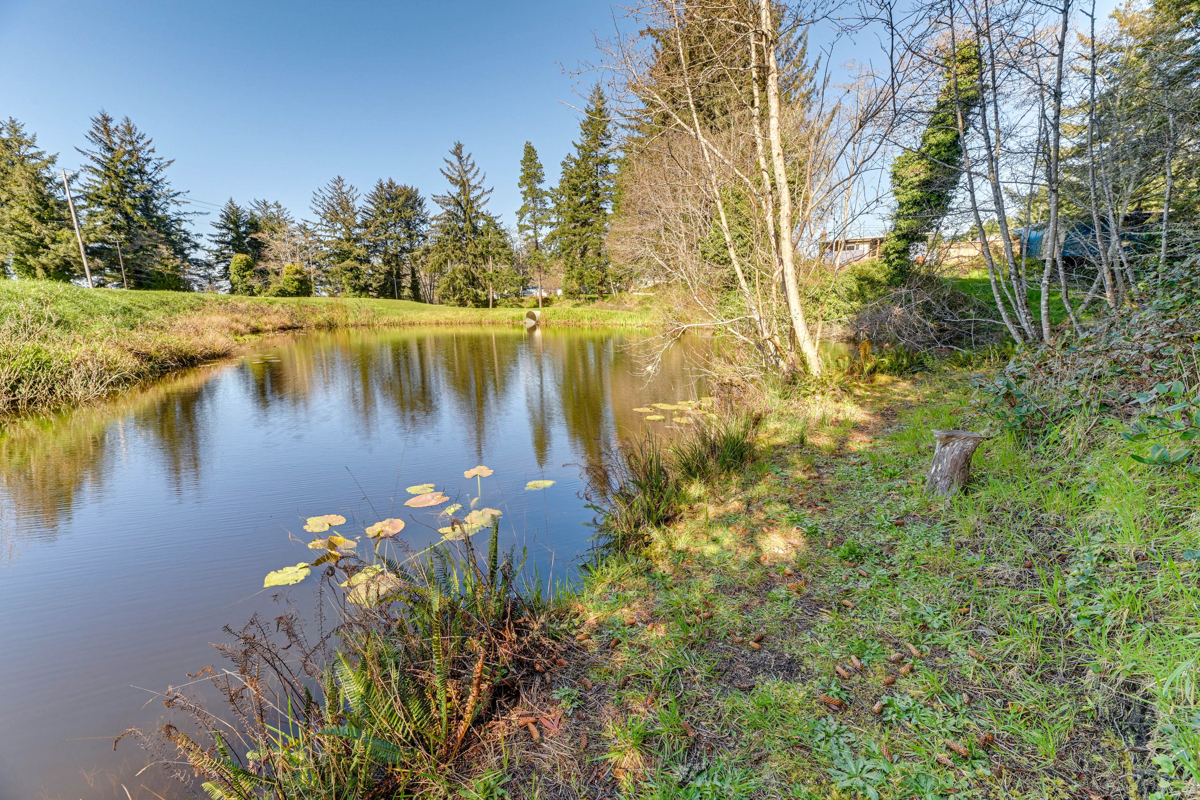 On-Site Creek & Pond