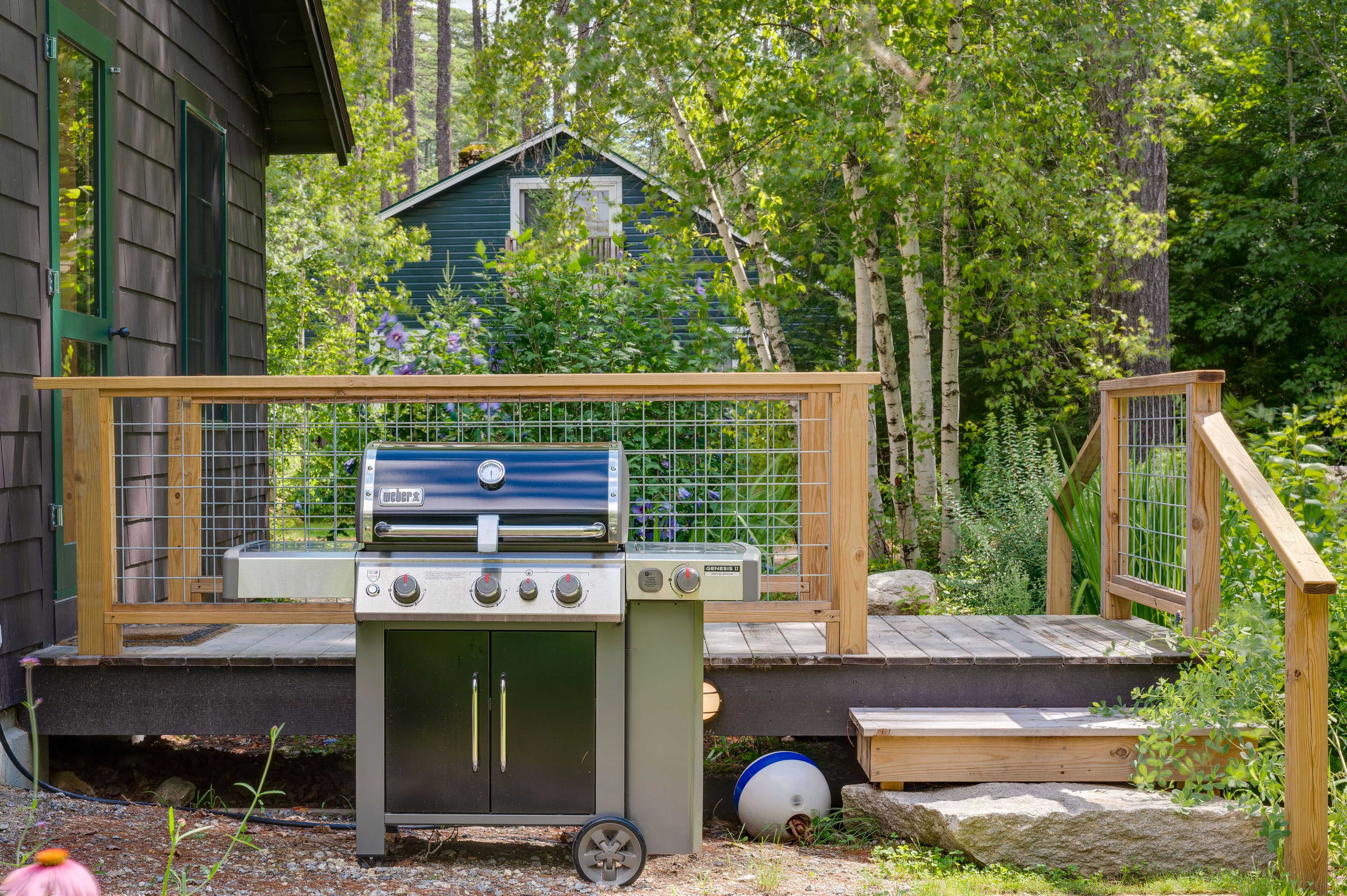 Gas Grill
