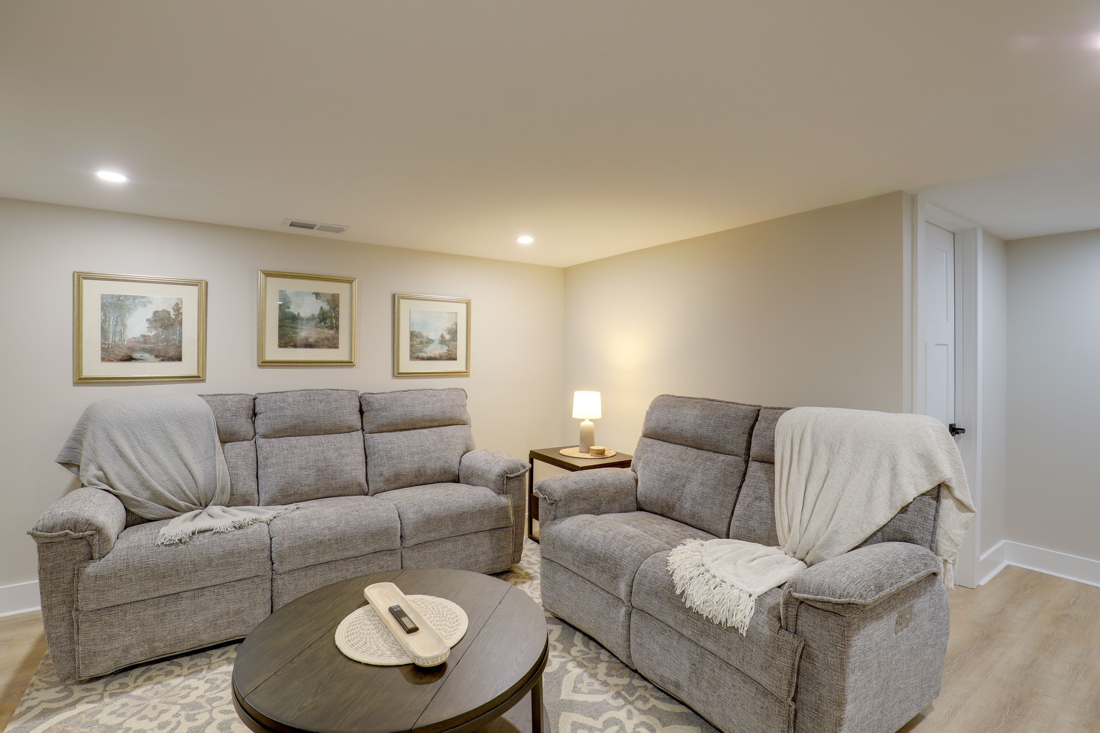 Basement Living Area