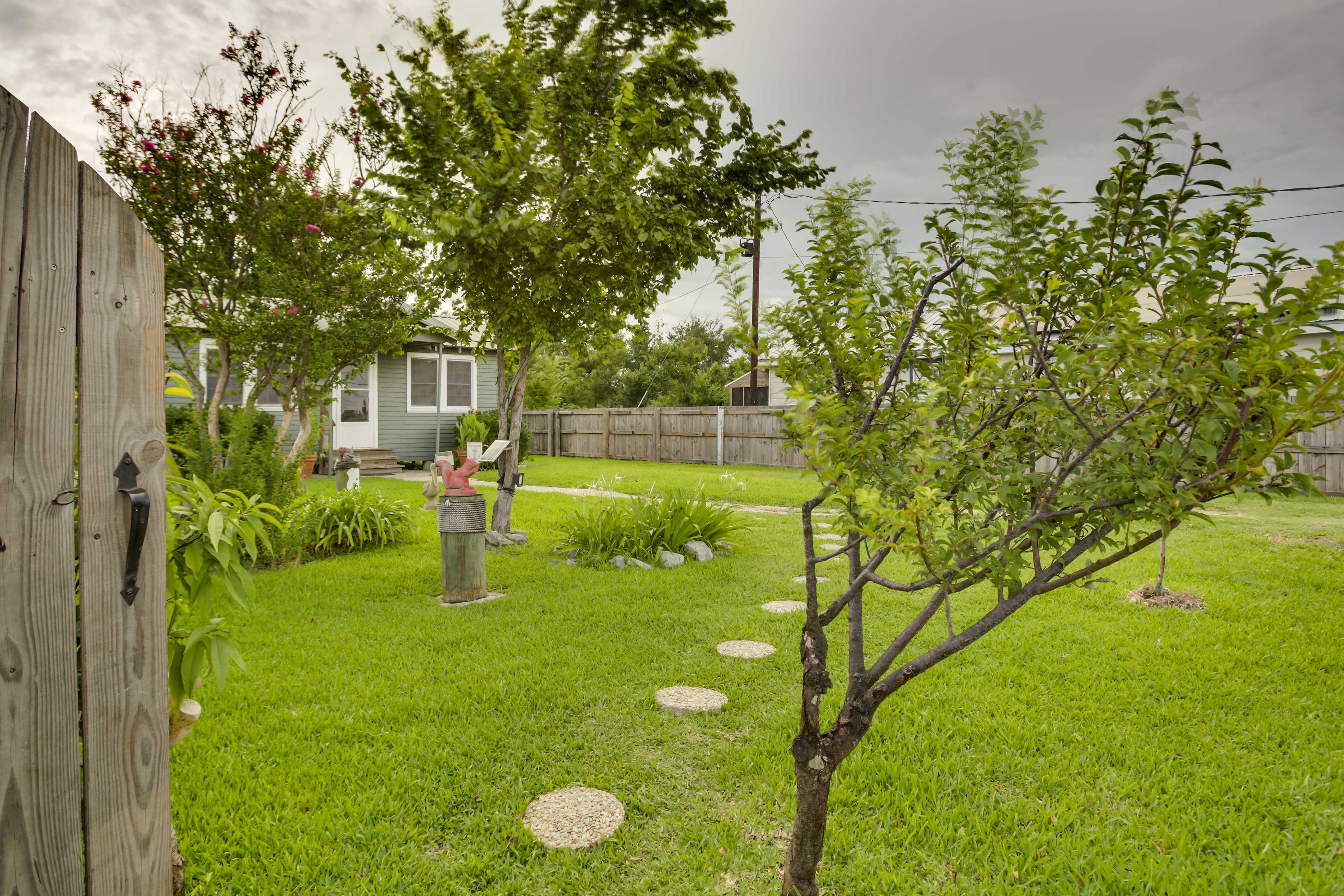 Image 29