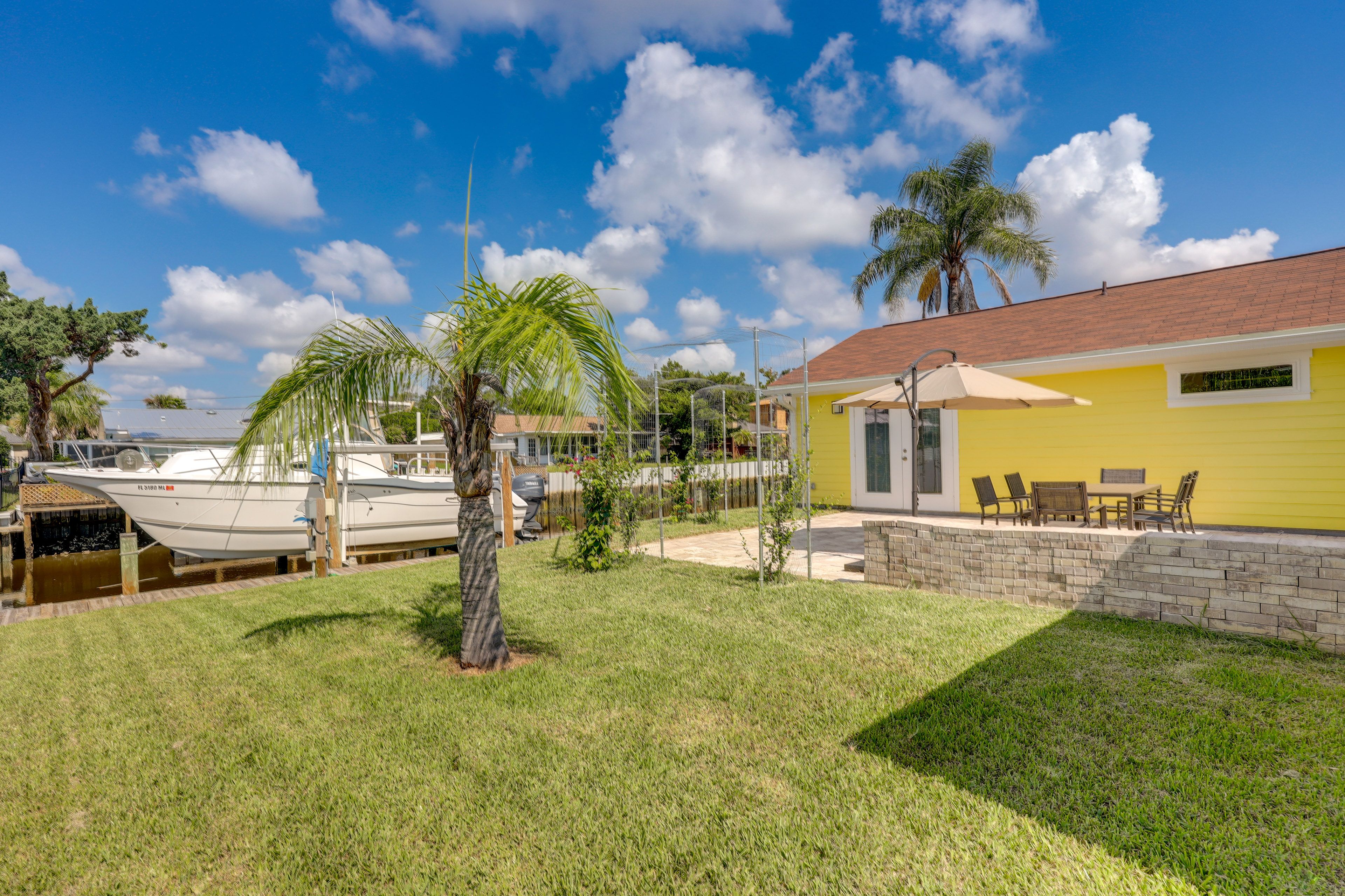 Backyard