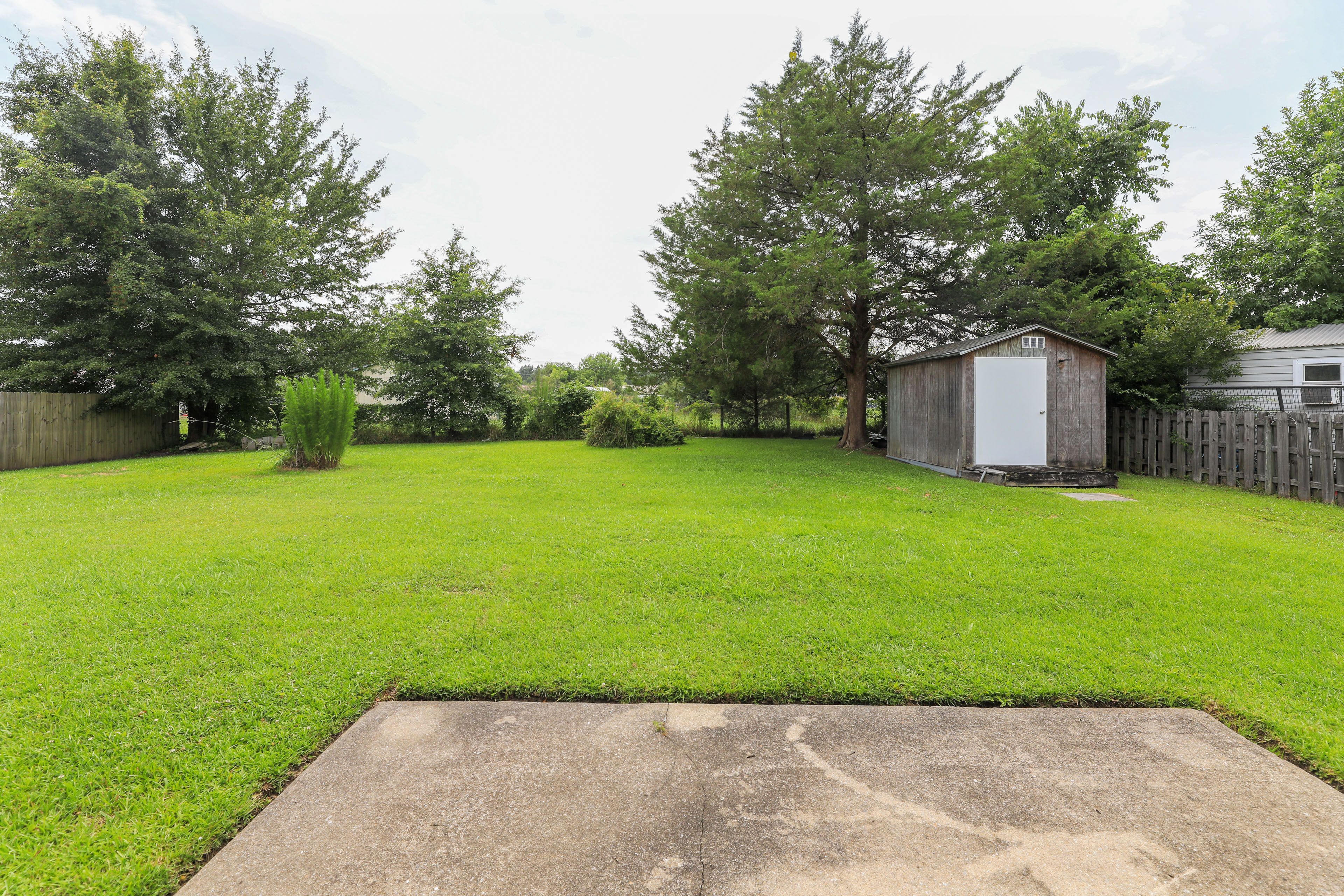 Image 25