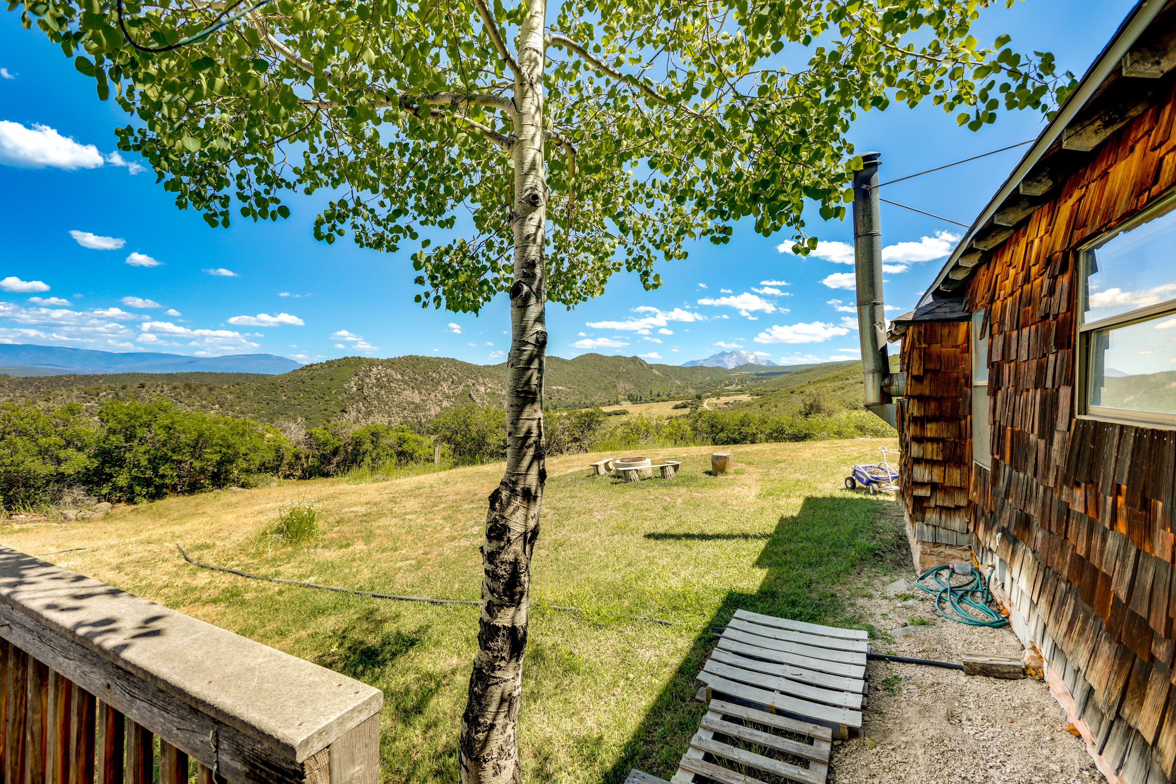 Wooded Yard | View