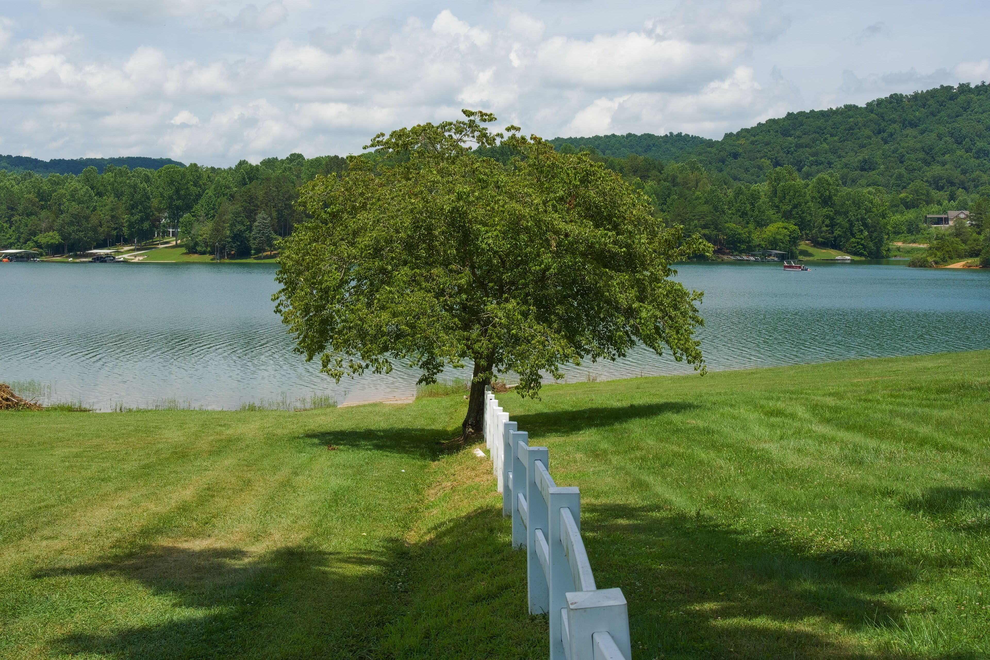 Norris Lake Views | Dock