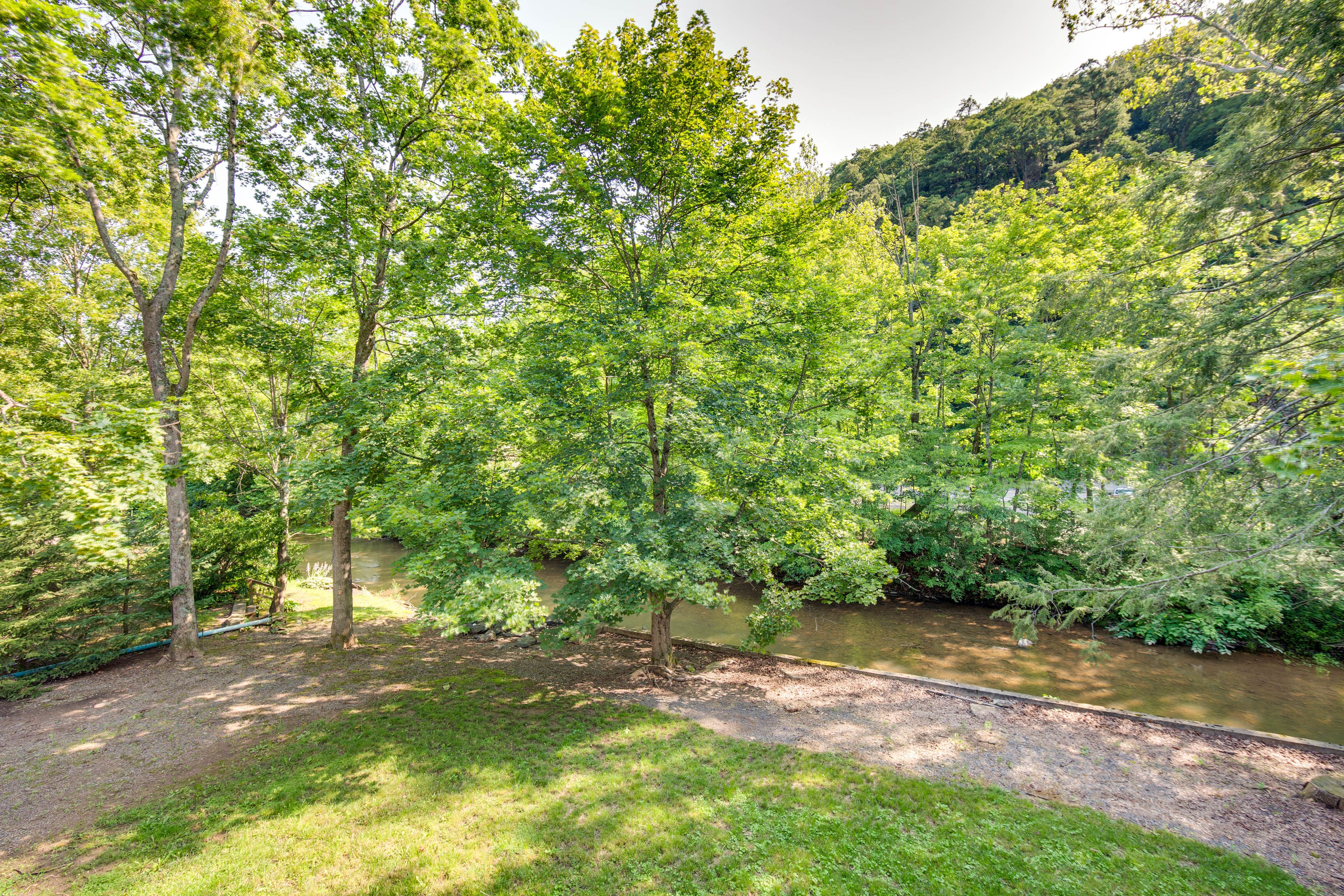 Creek Views
