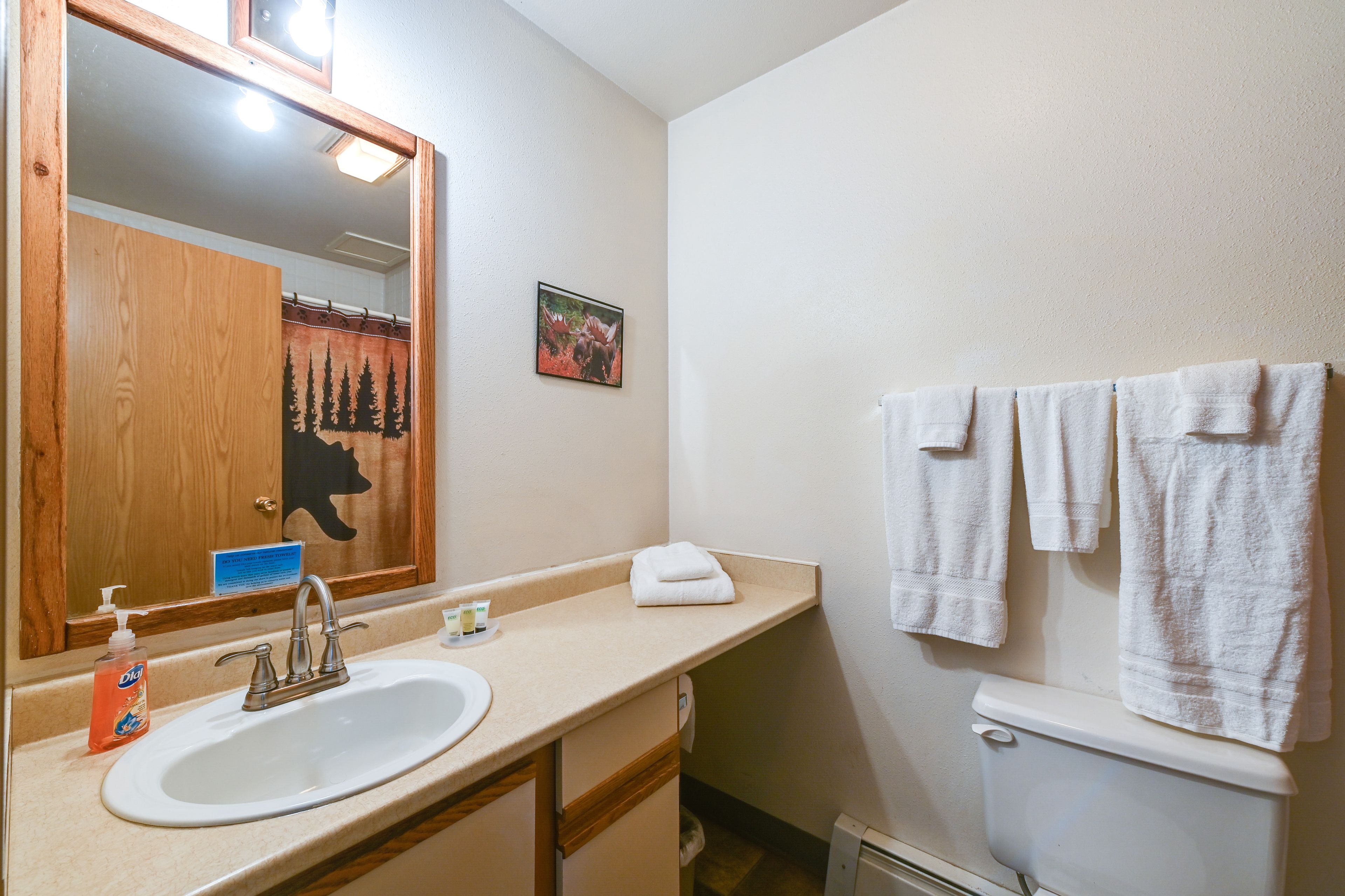 Full Bathroom | Towels Provided | Complimentary Toiletries