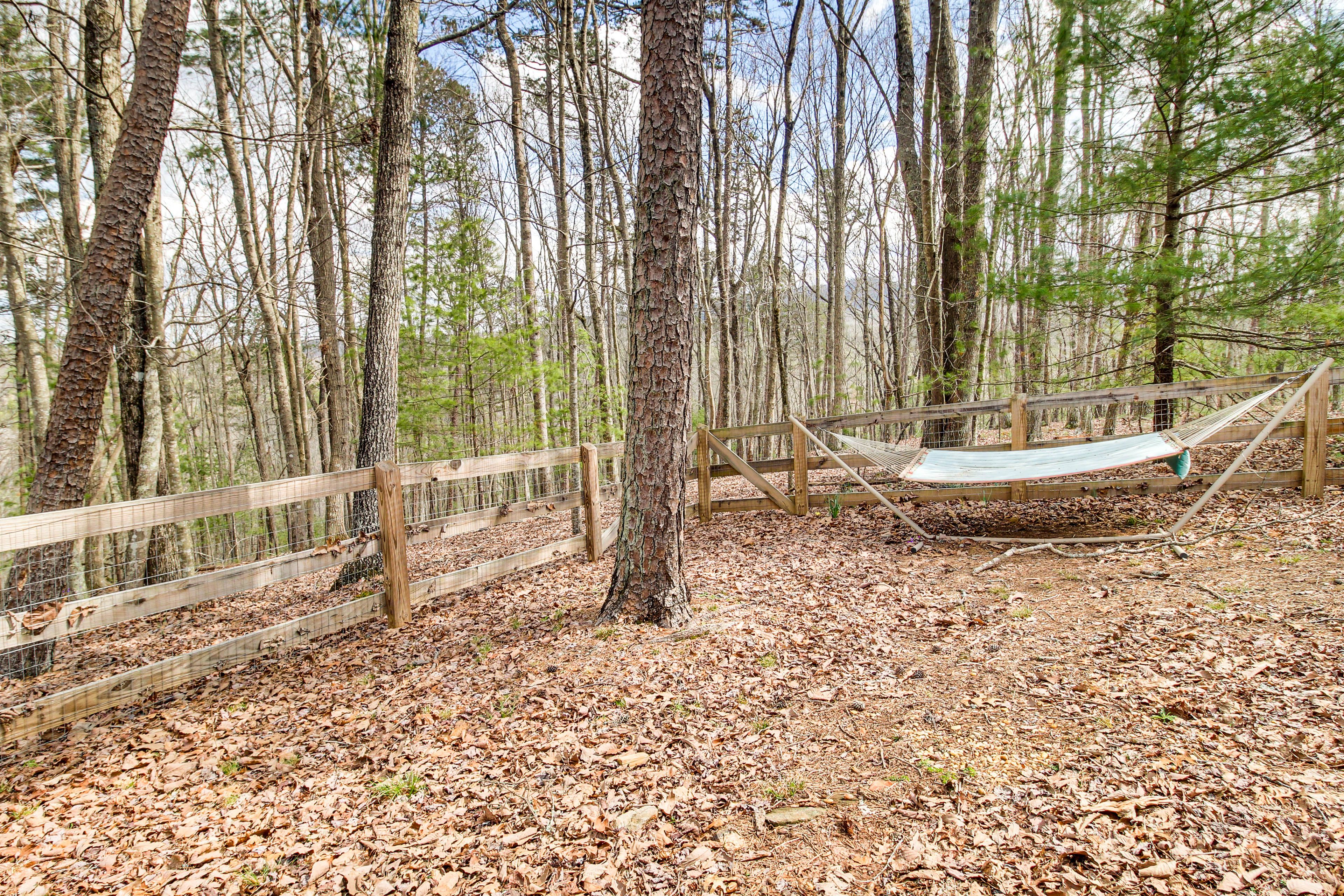 Fenced Yard