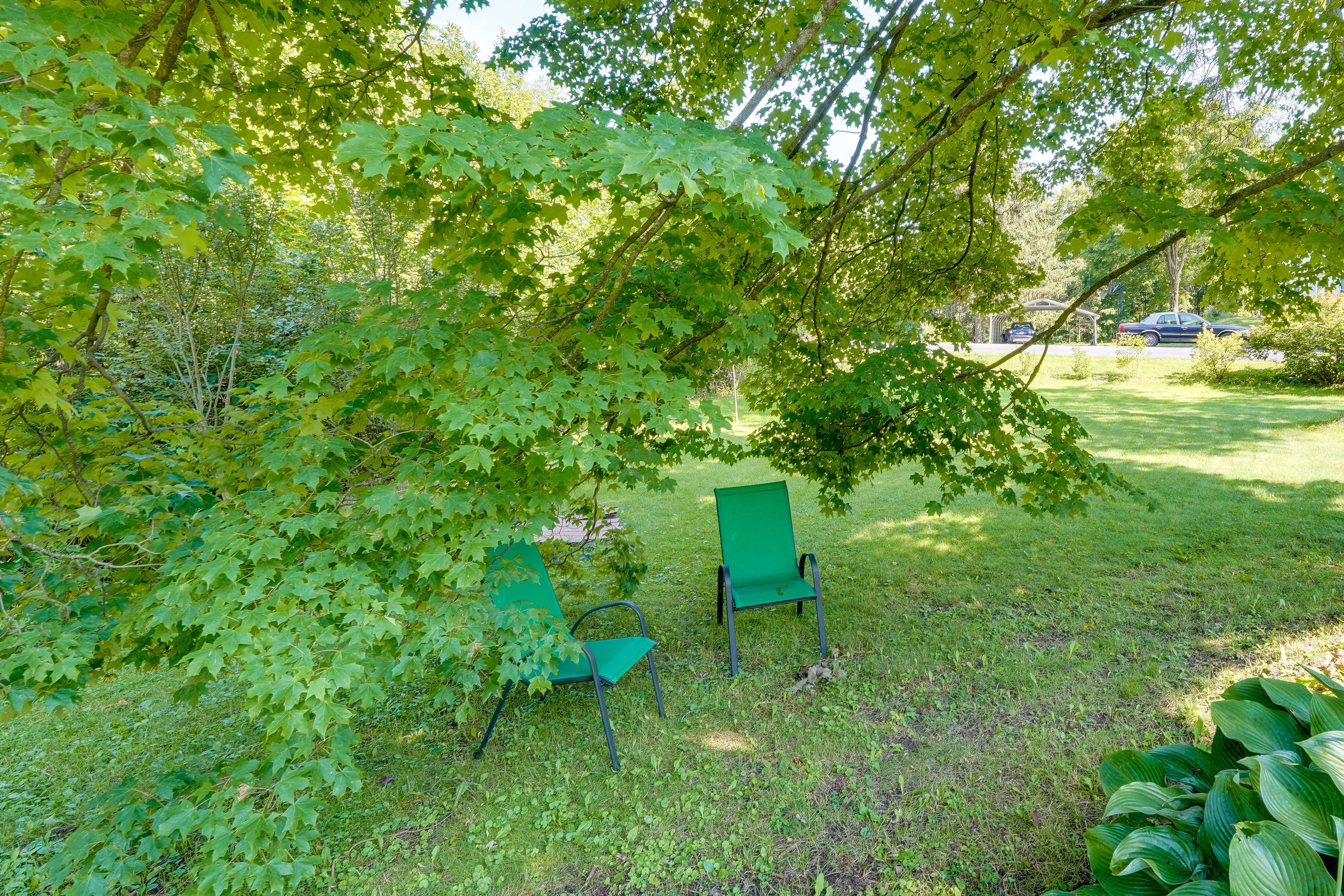 Image 23