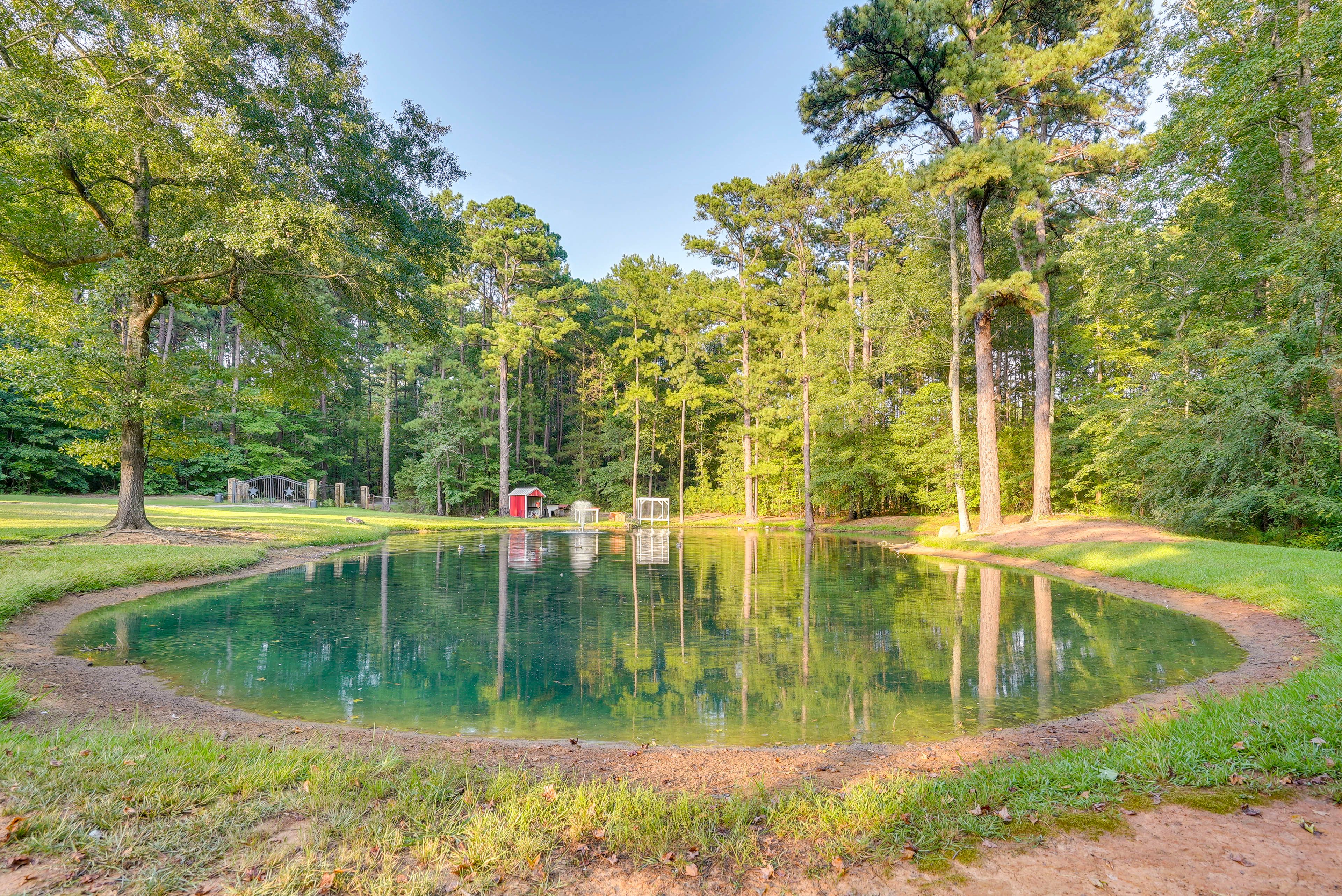 Duck Pond
