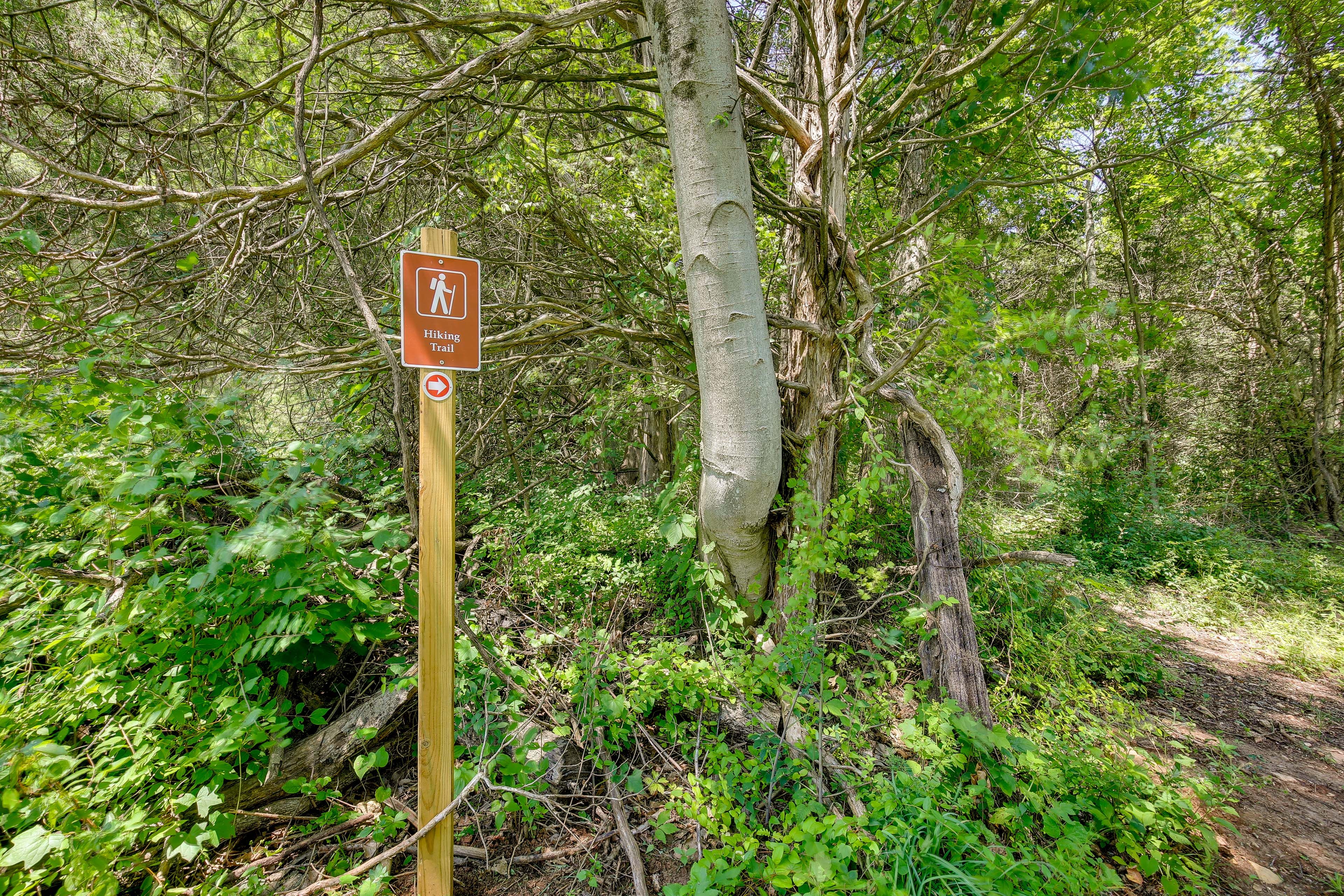Hiking Trail Access