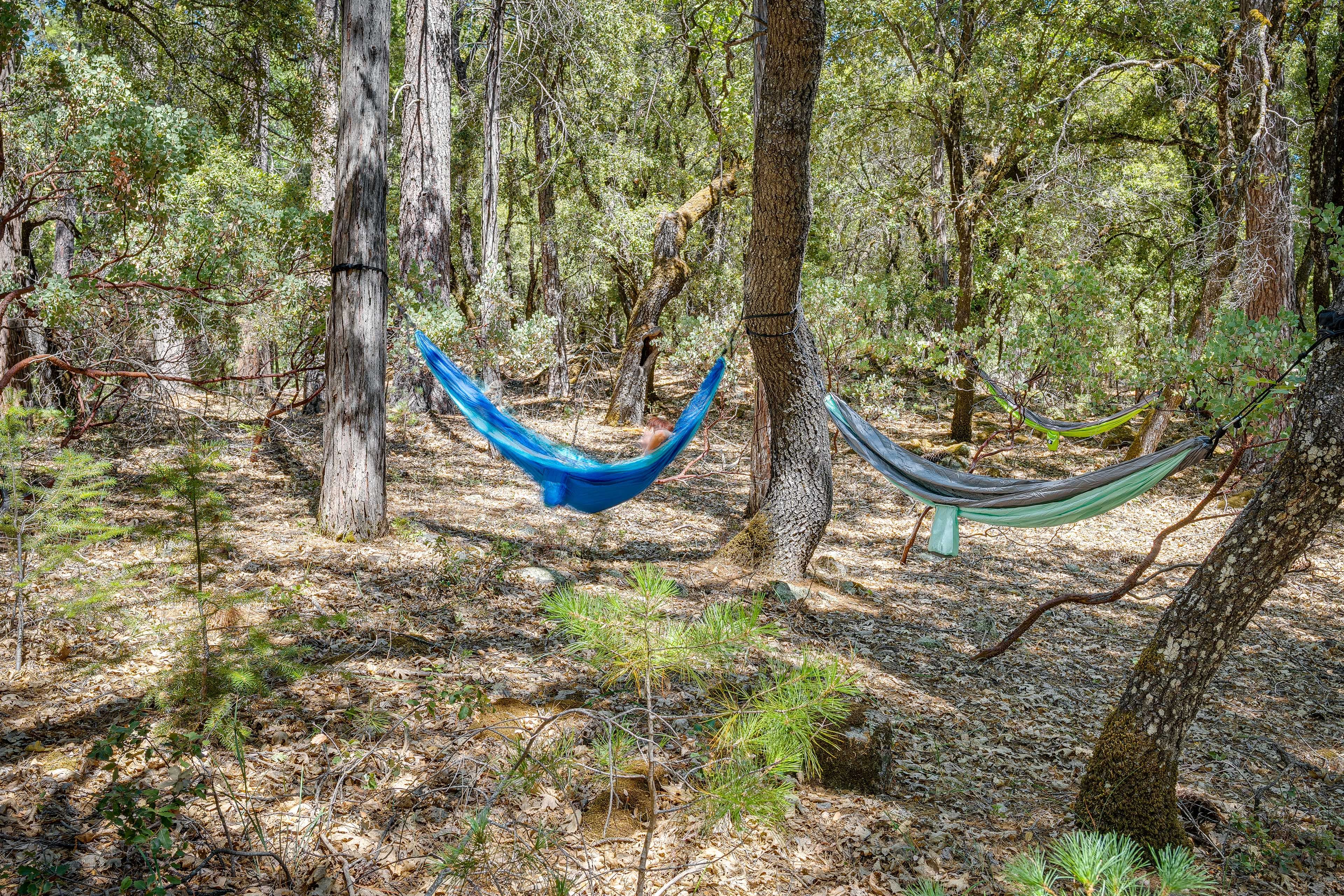 Hammocks