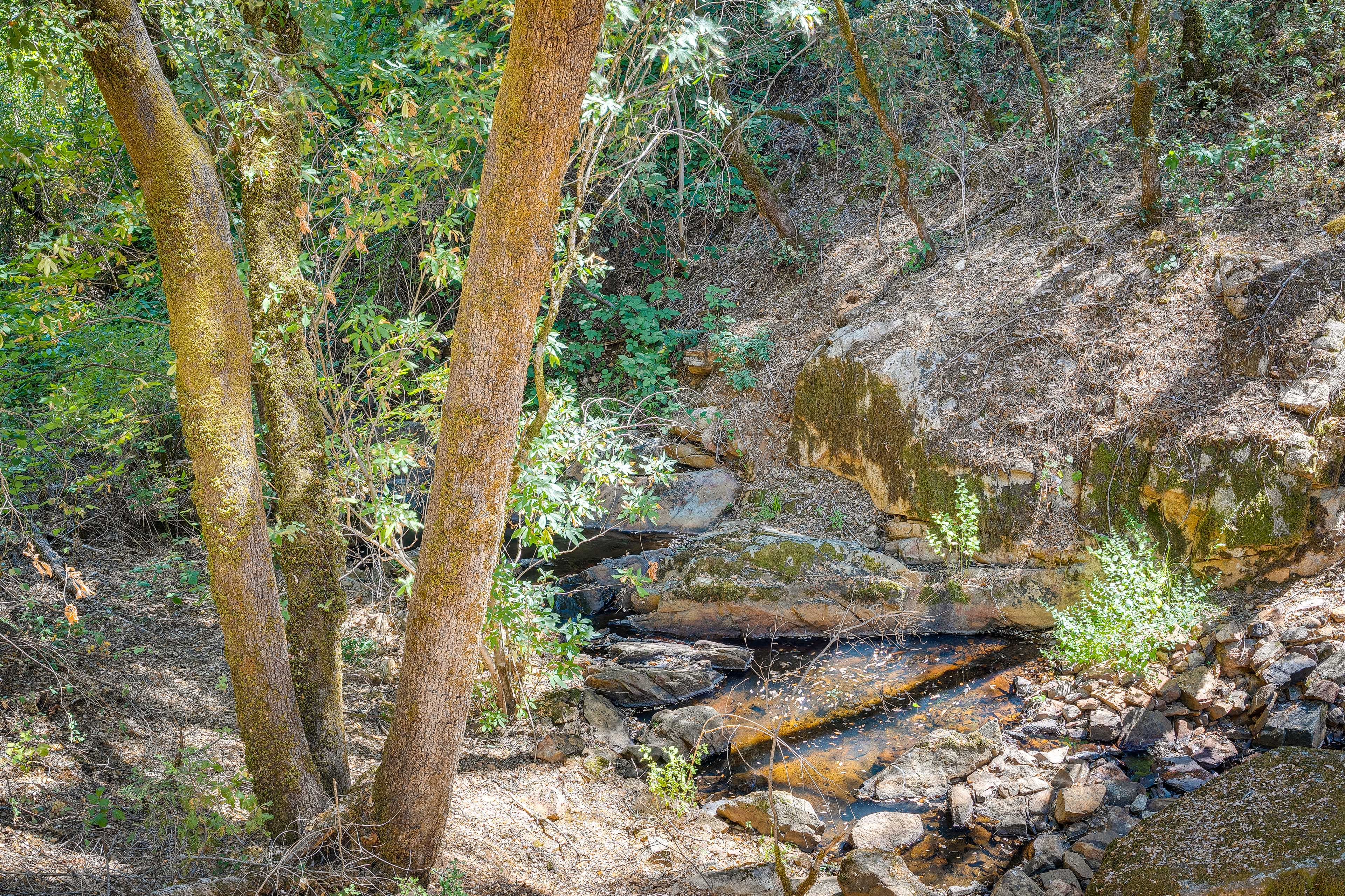 Bear River Access