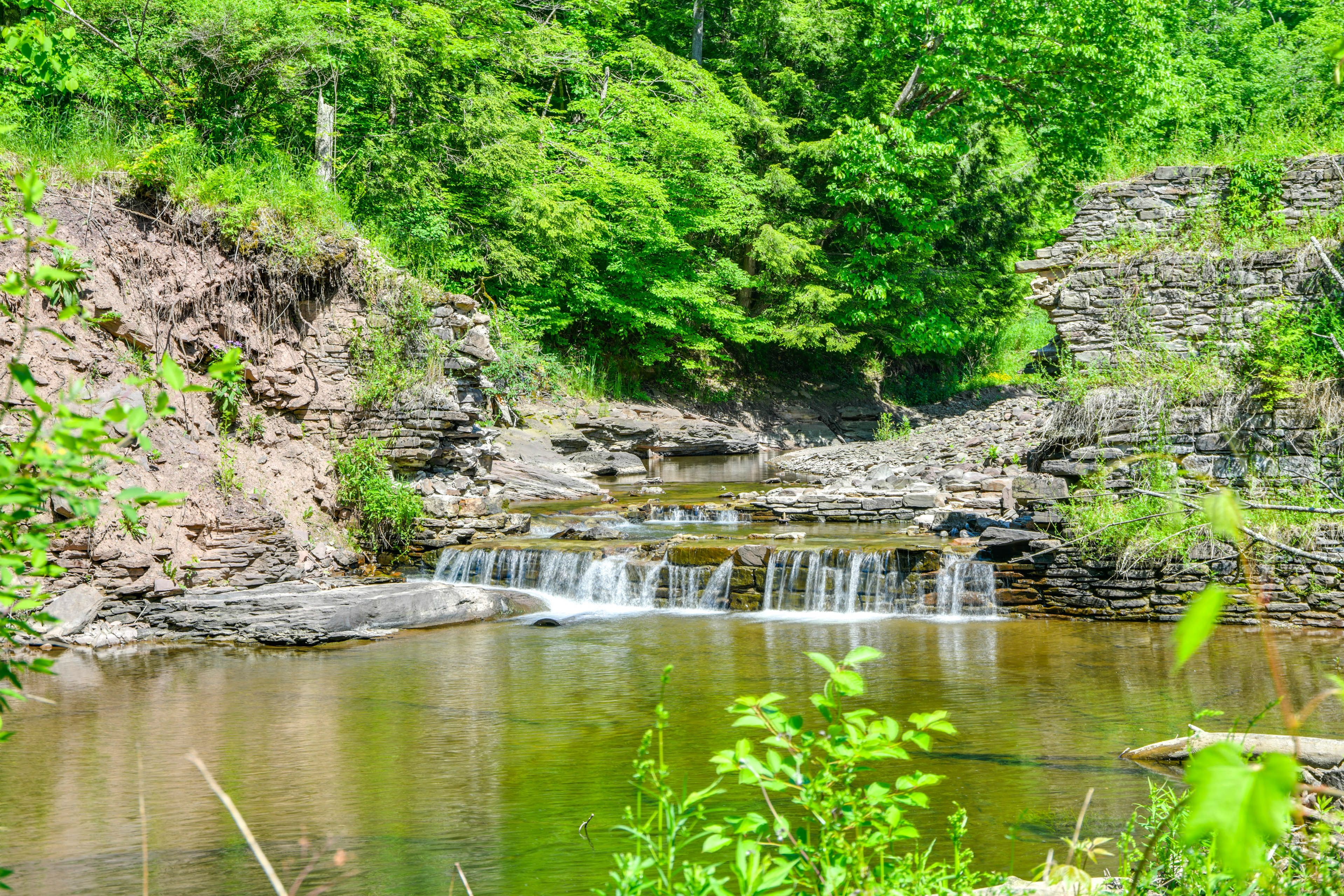 Creek w/ Waterfall On-Site