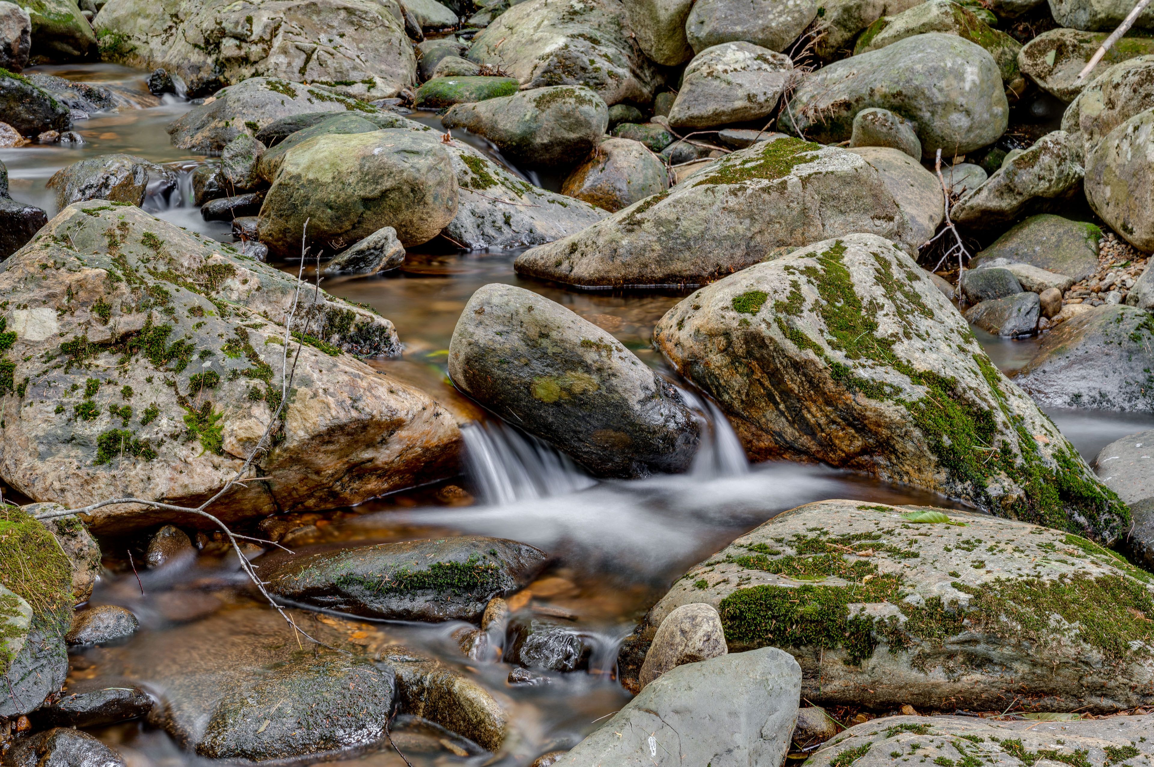 Image 28