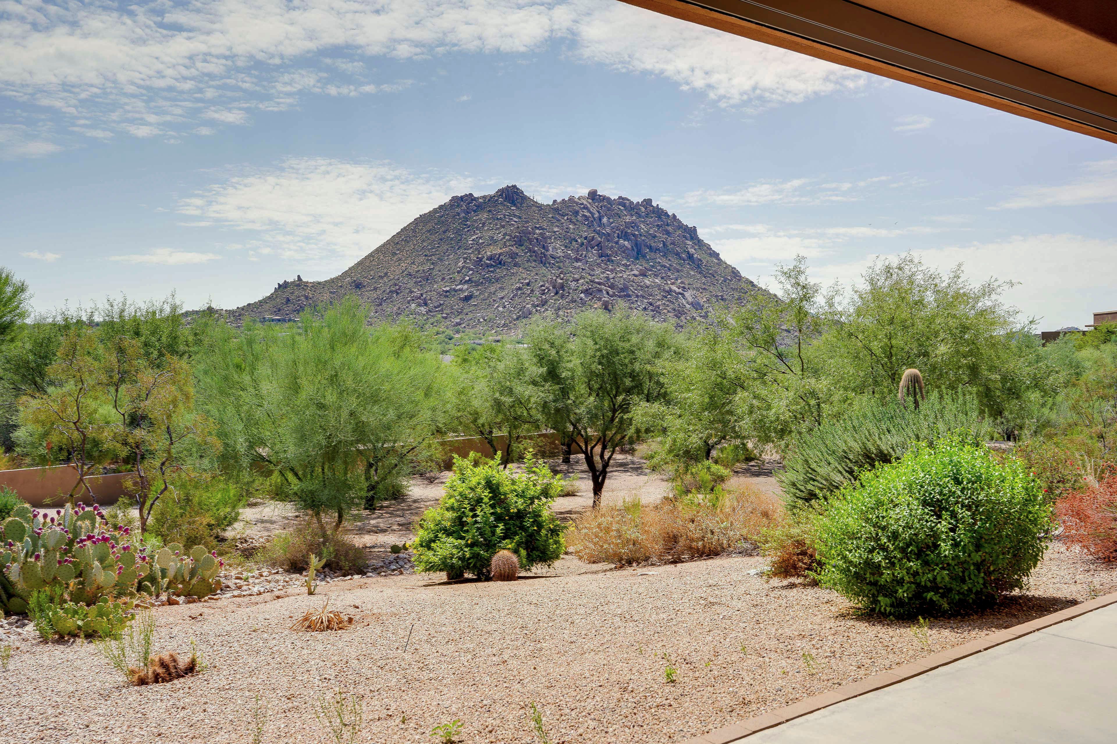 Mountain Views
