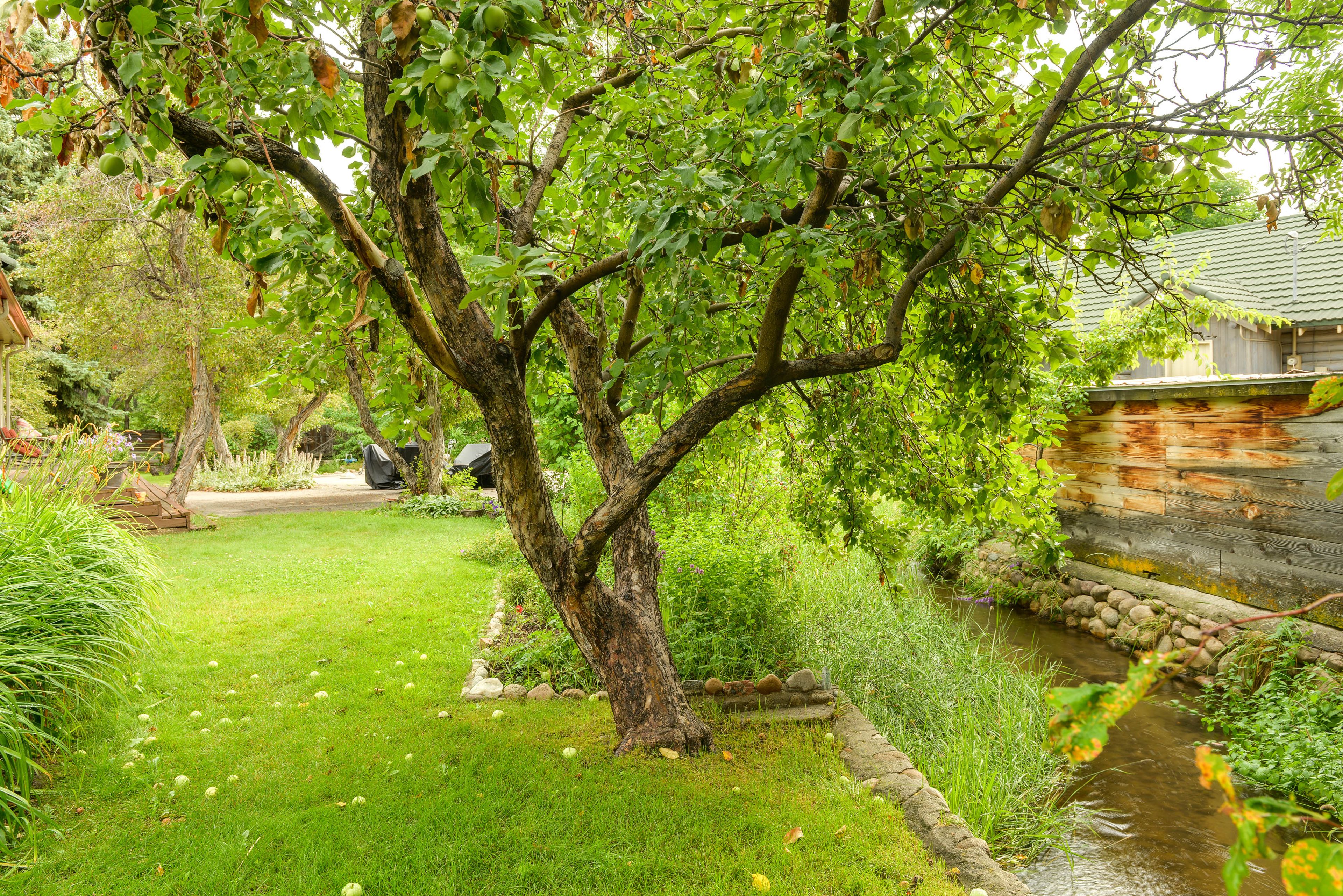 Lander Vacation Rental | 1BR | 1BA | 1,200 Sq Ft