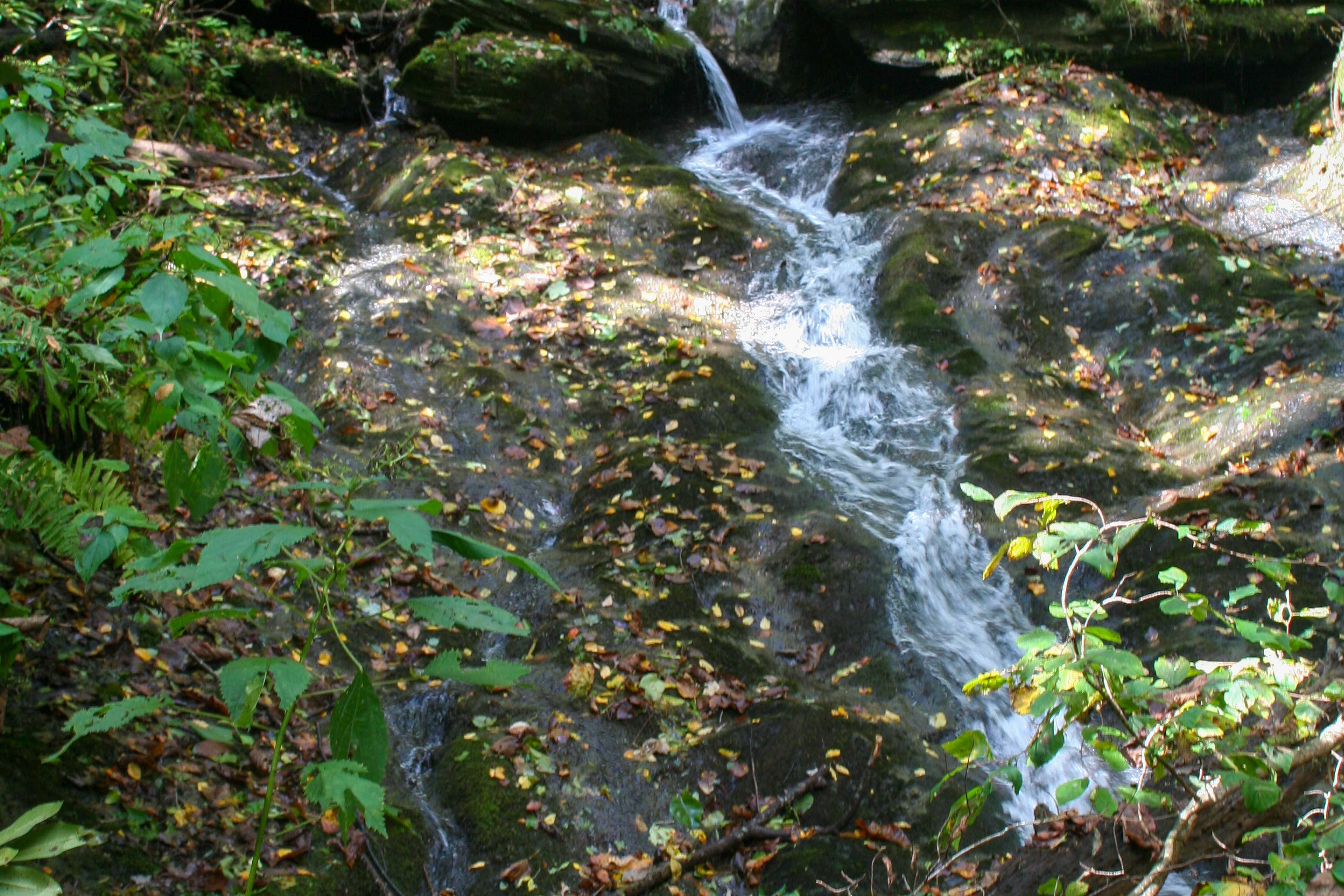 Image 31