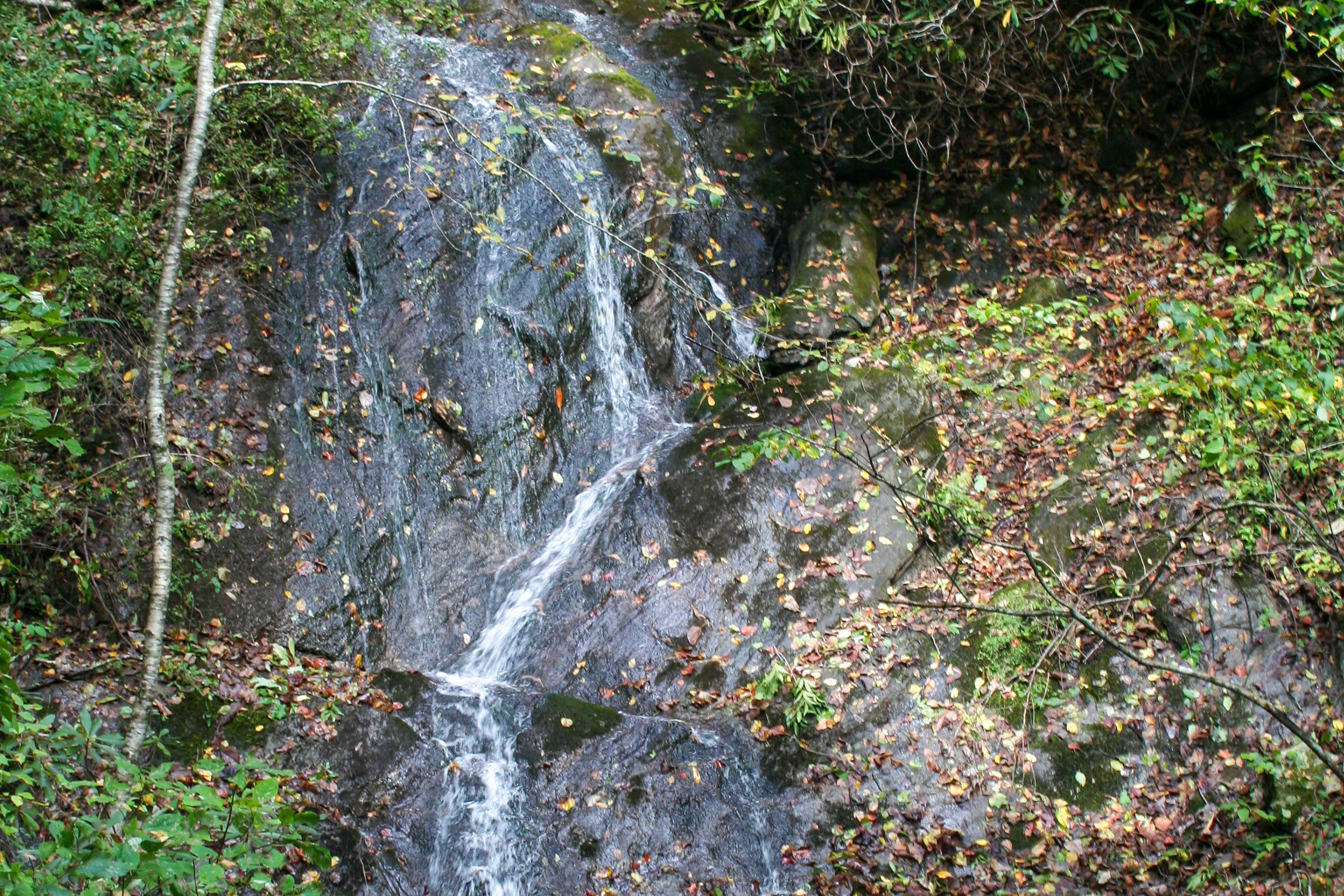 Surrounding Area