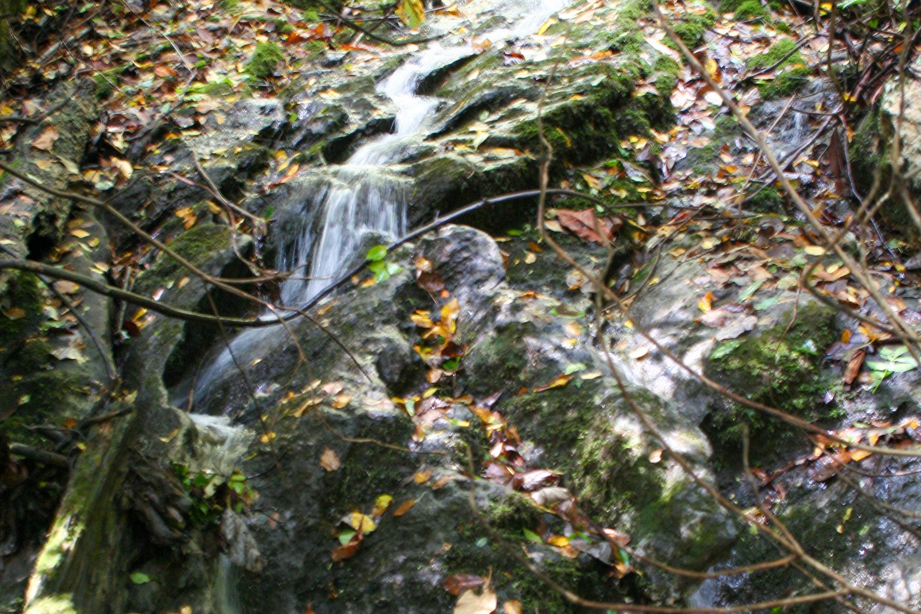 Image 33
