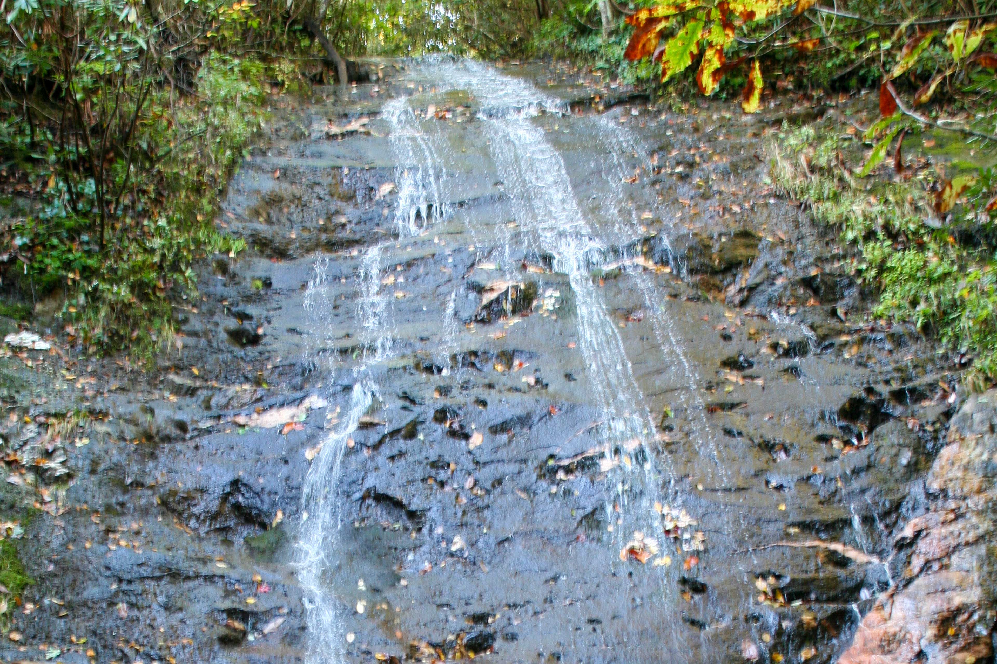 Image 32