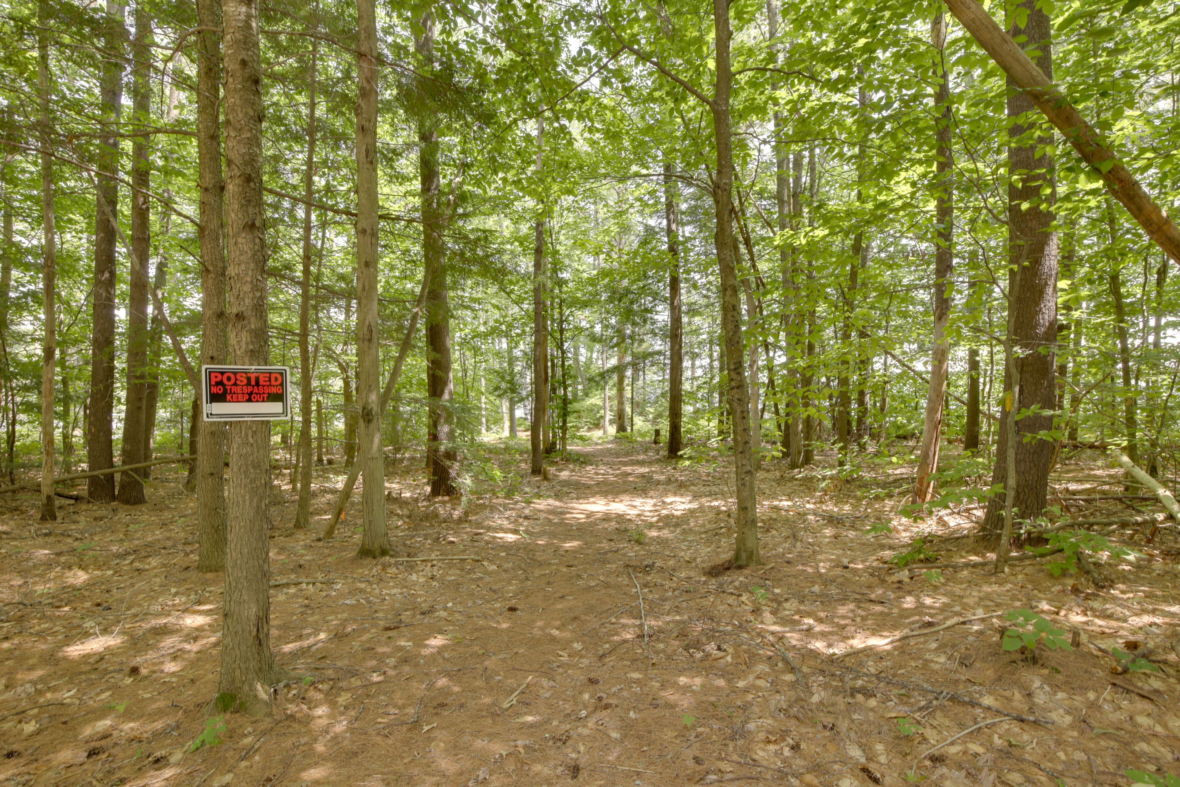 Woods | Path to Lake