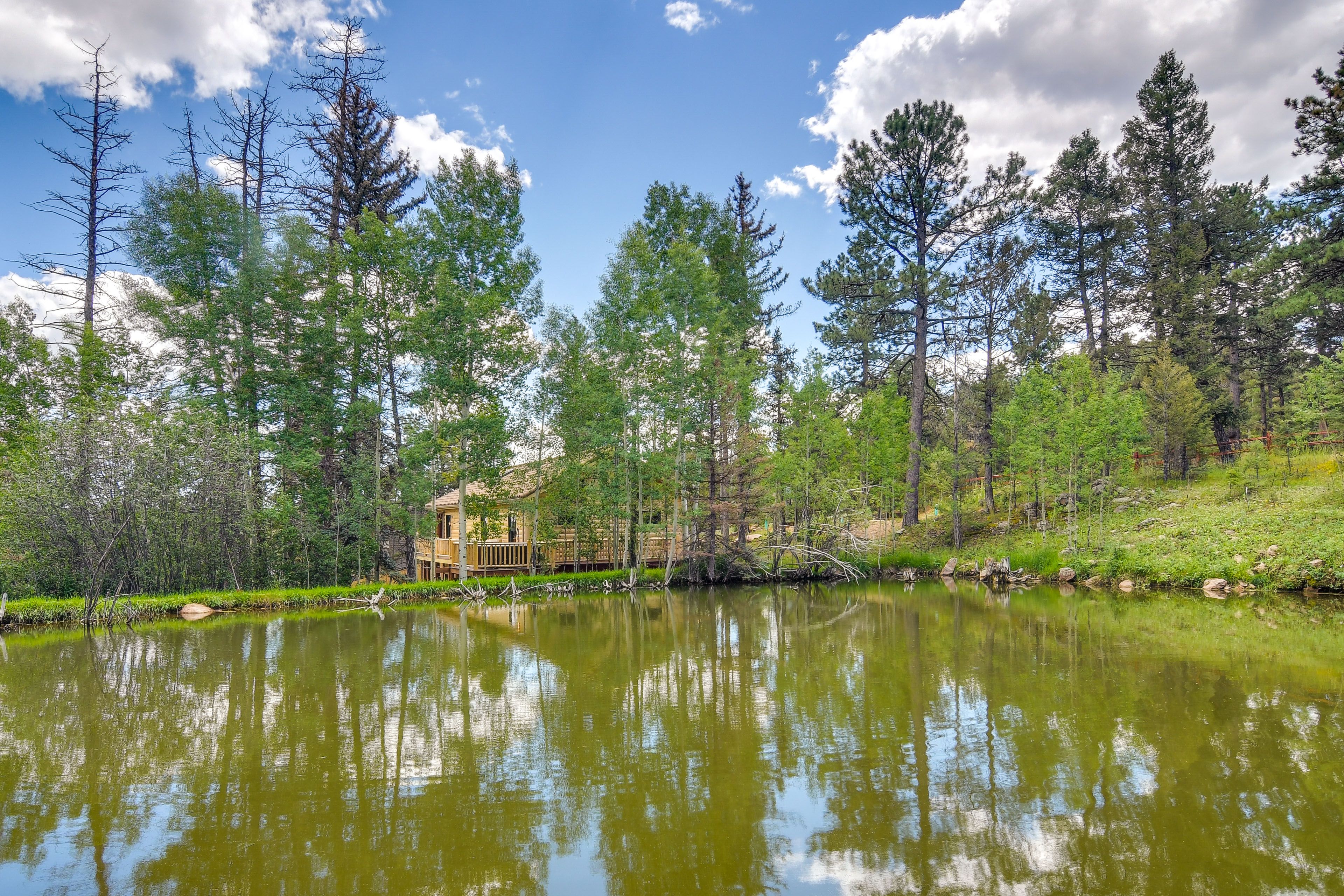 Pond