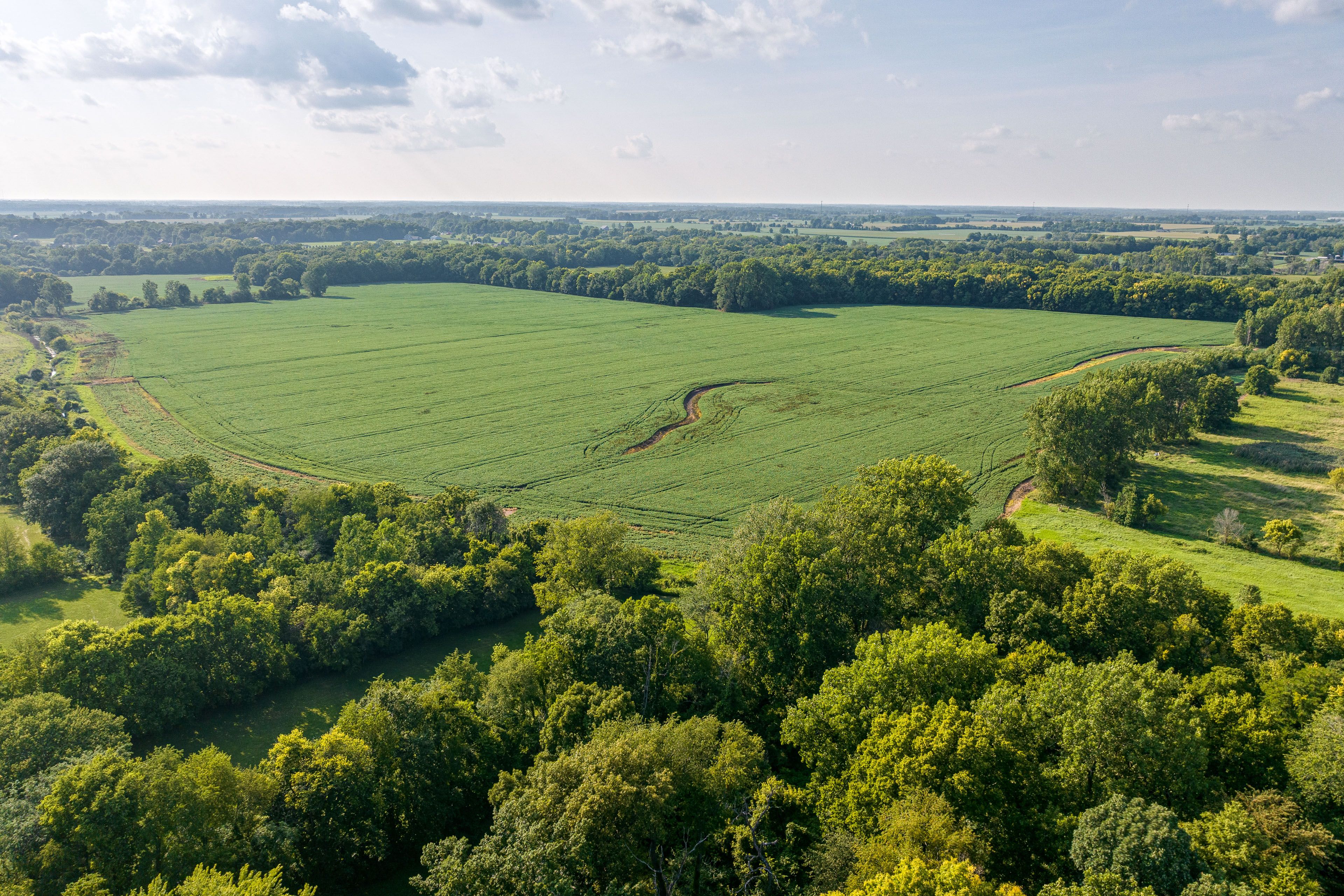 Nearby Views