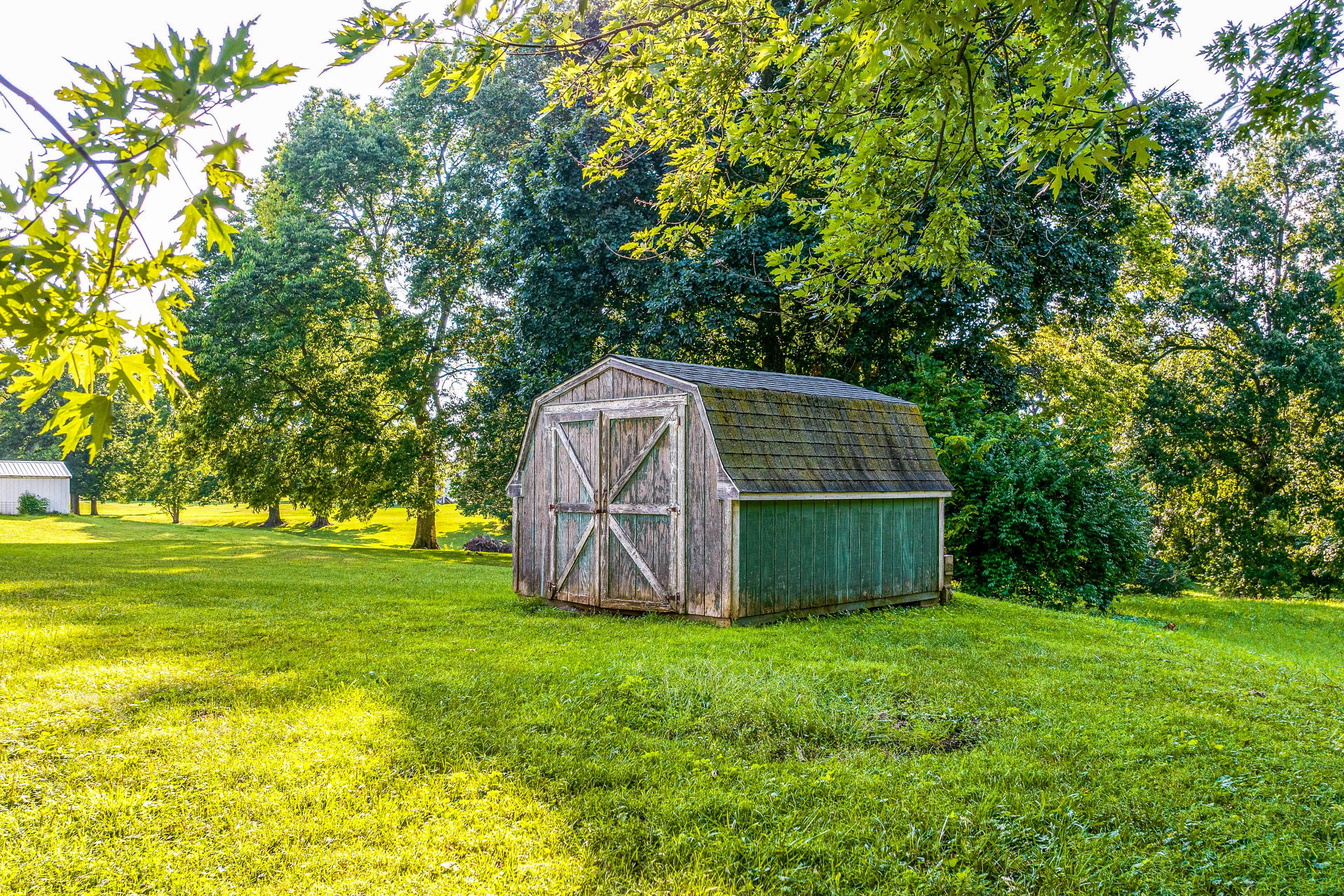 Shed