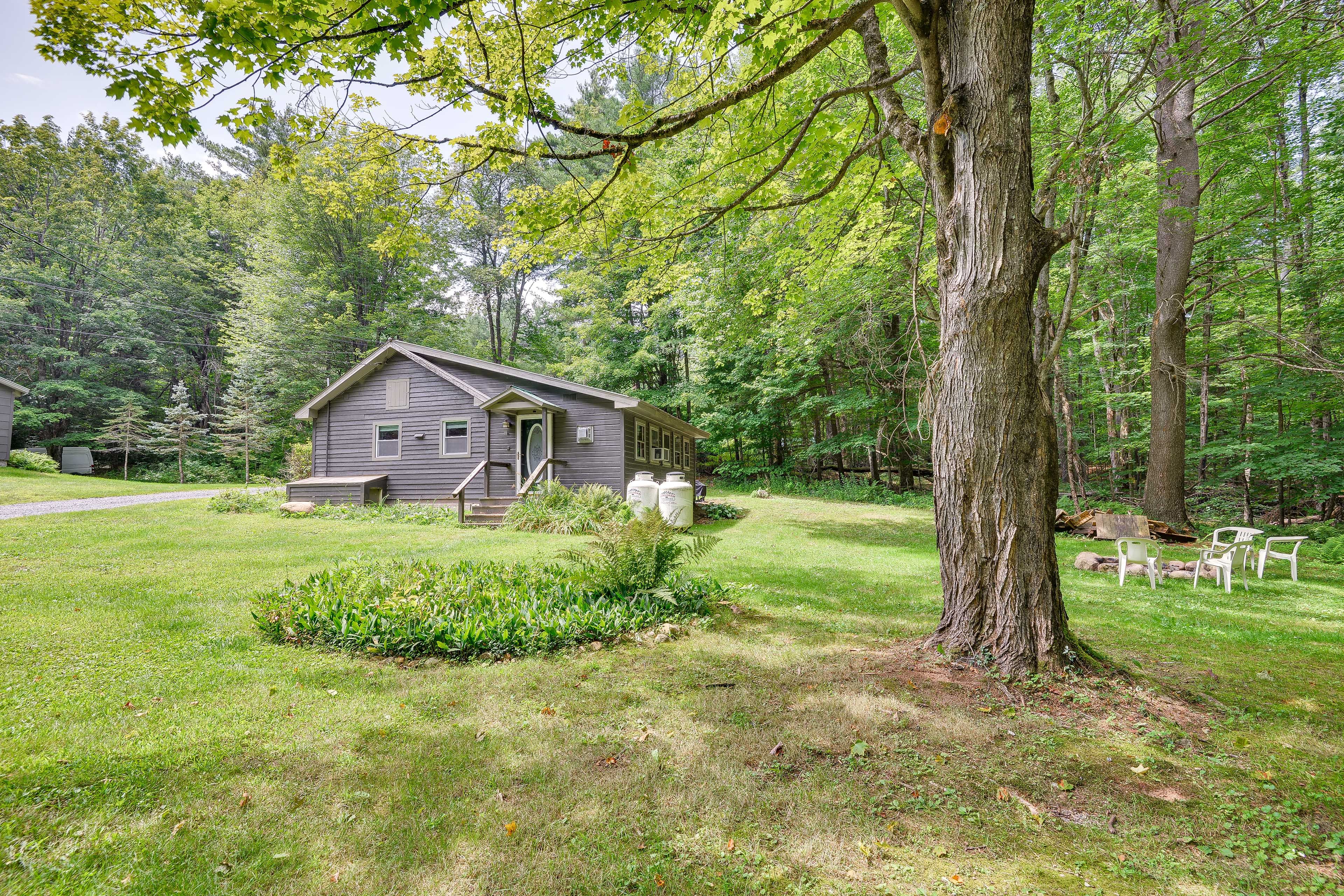 Fire Pit | Forested Views