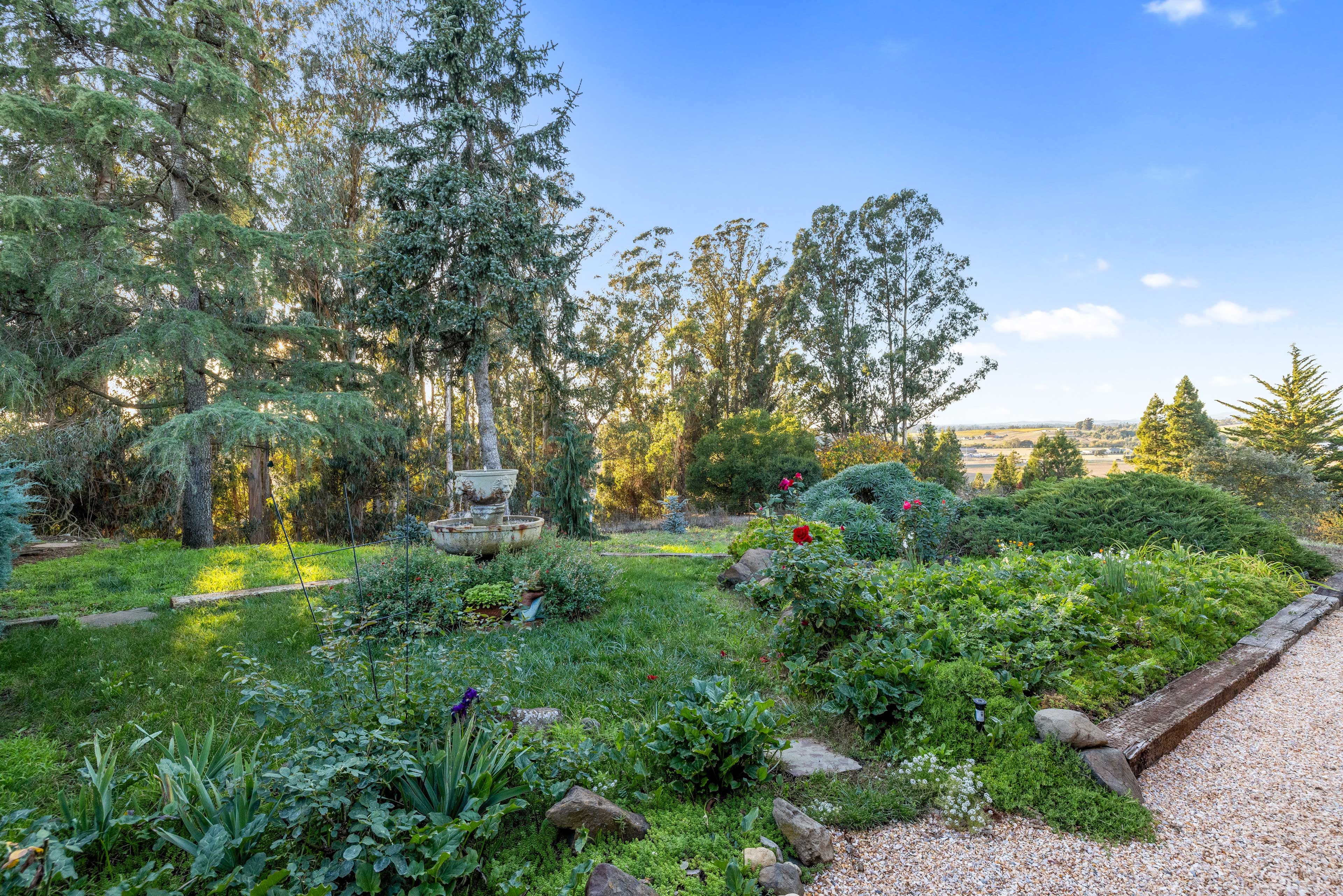Yard Space