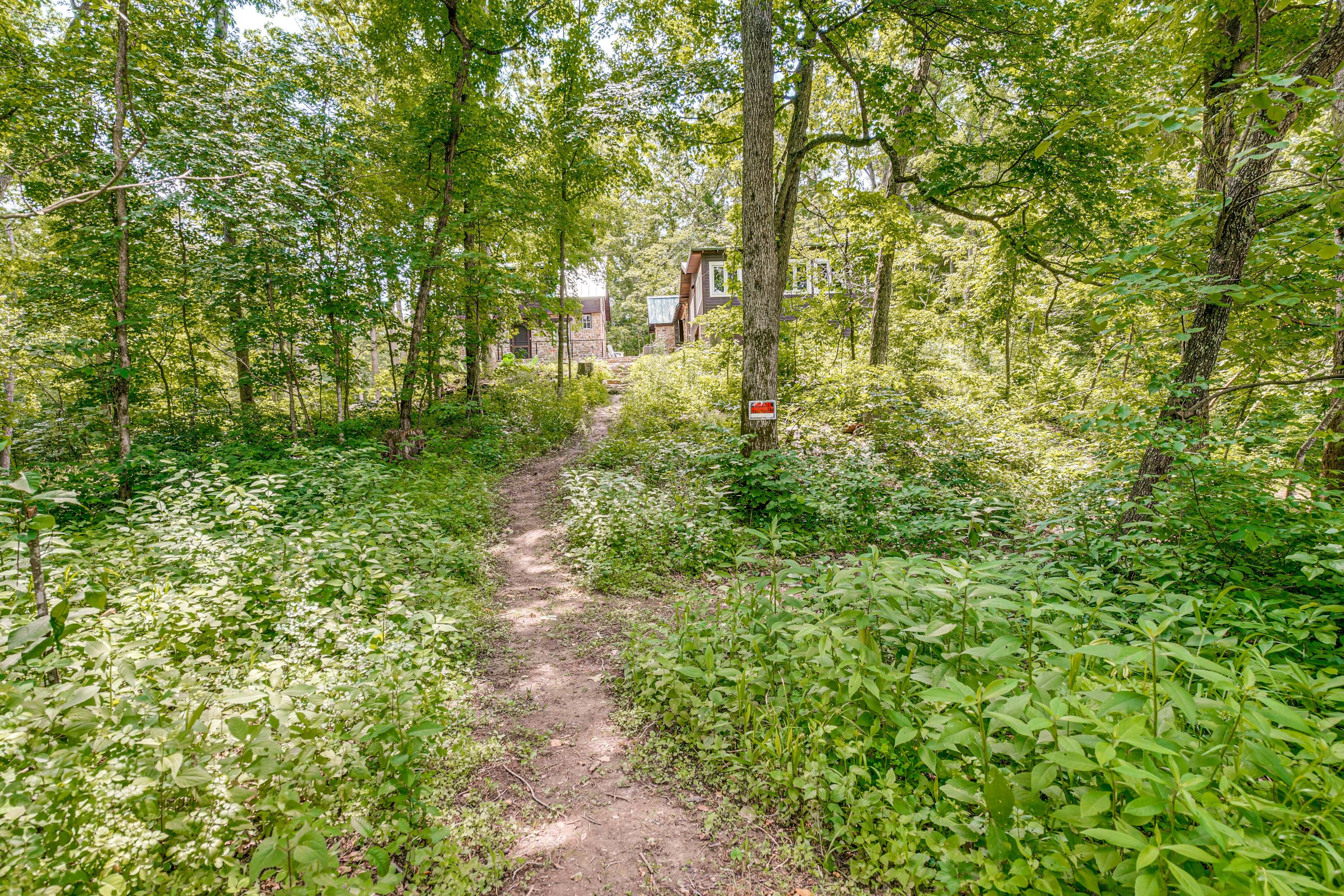 Trail to River