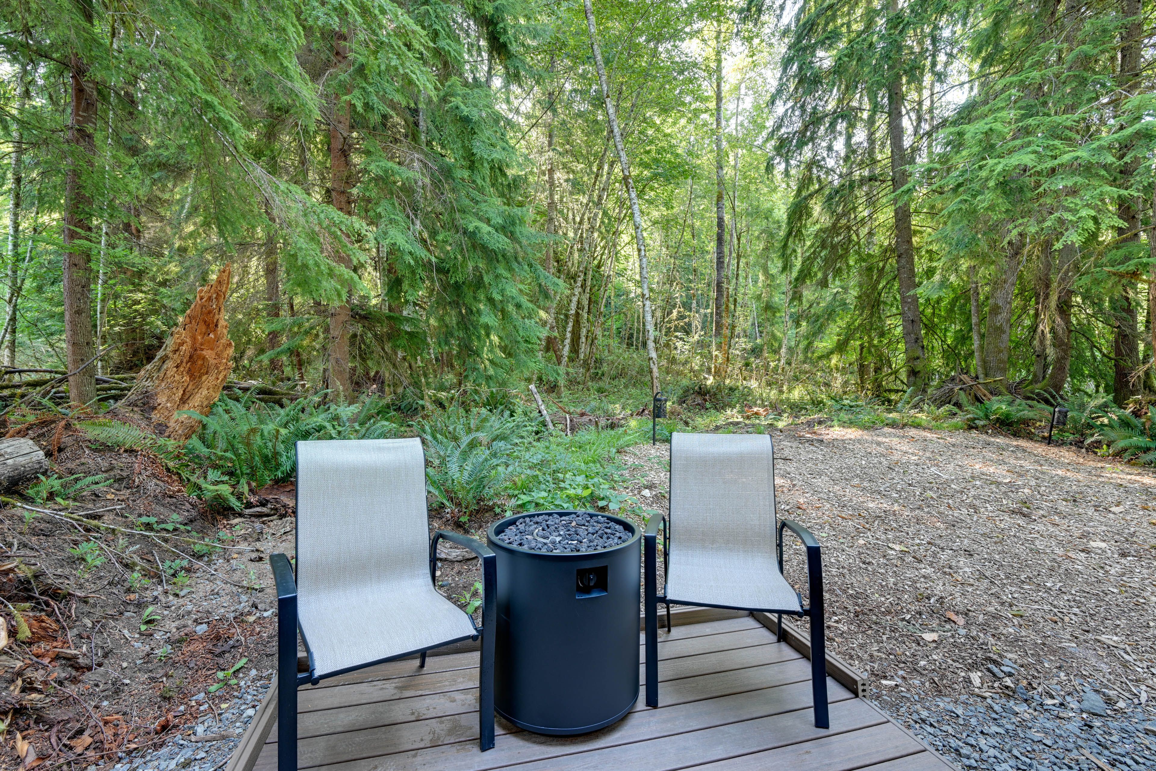 Carbonado Vacation Rental | Studio | 1BA | 1 Step to Enter | 320 Sq Ft