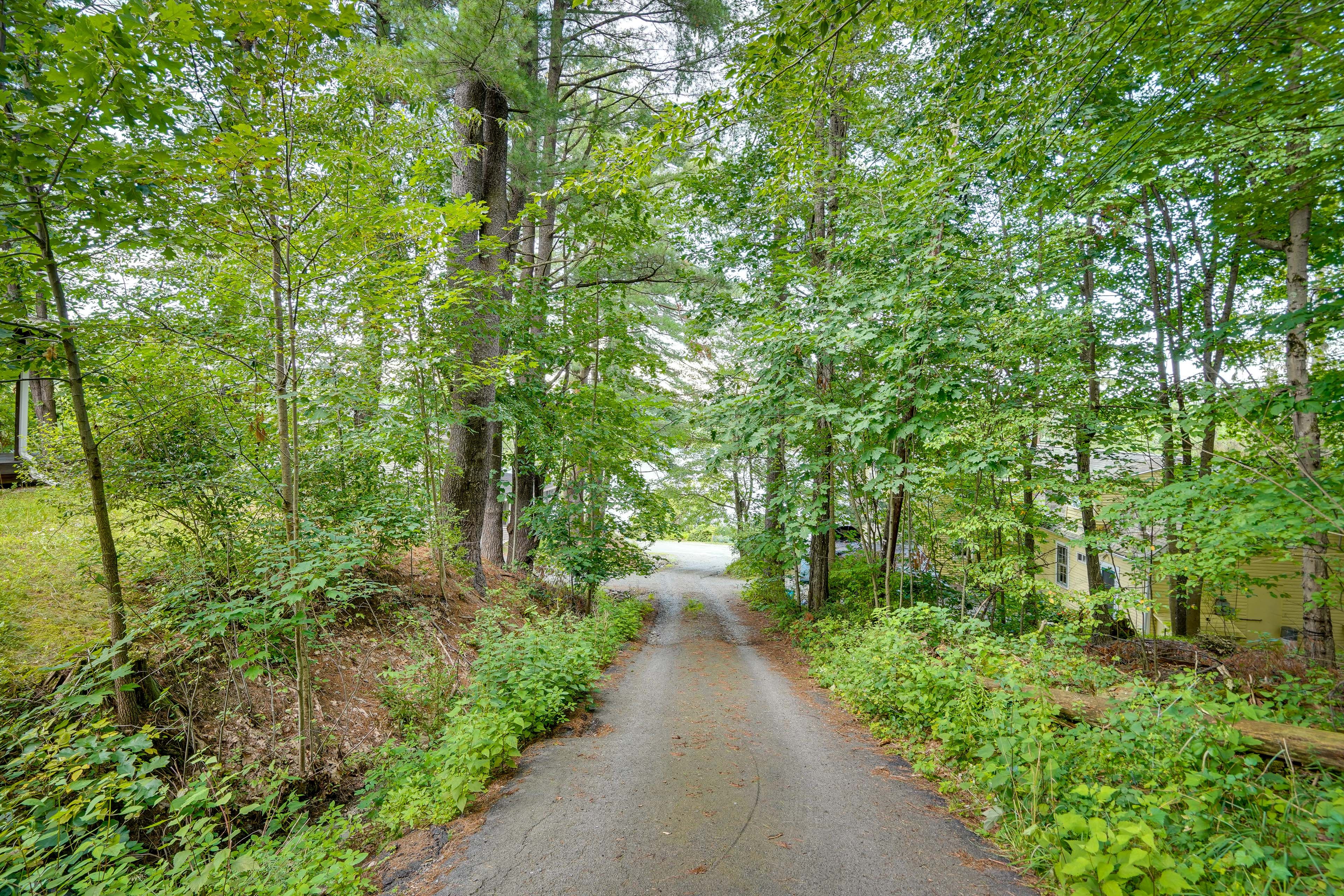 Road to Lake Access