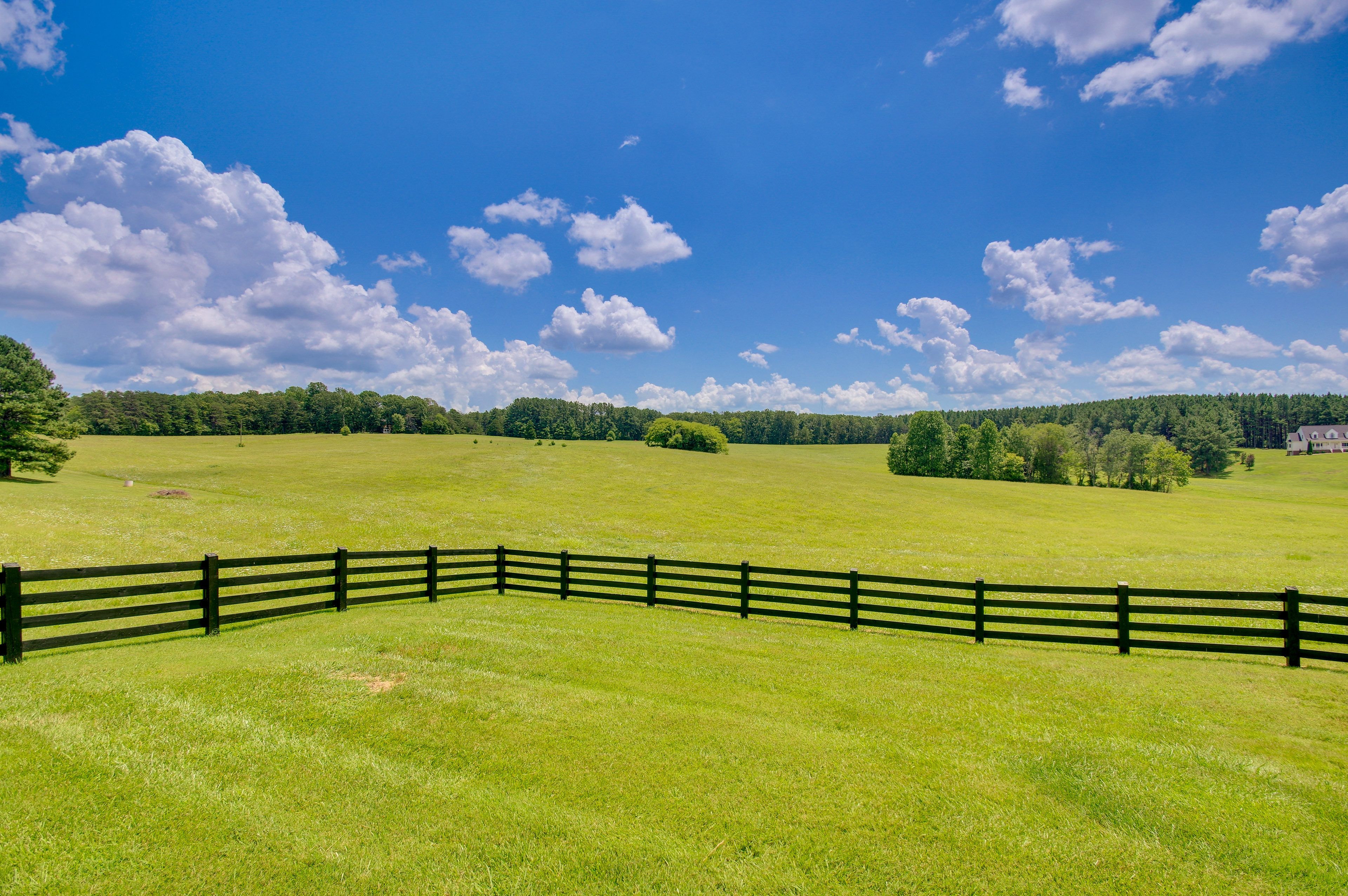 Backyard | Countryside Views