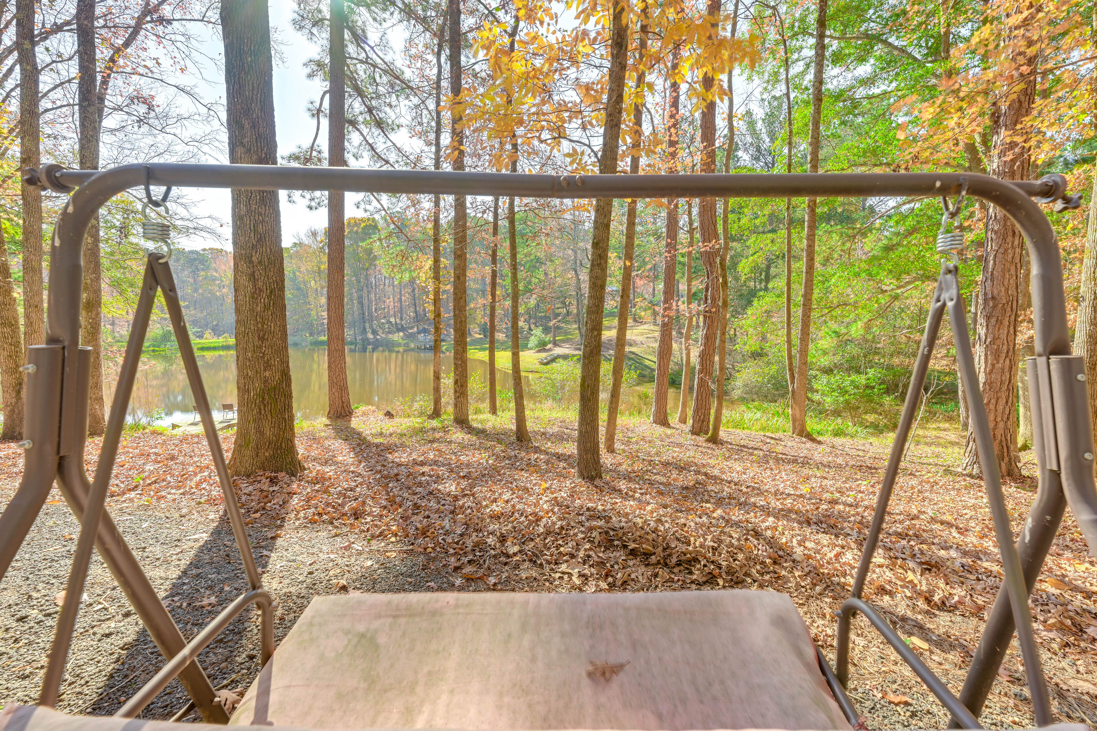 Backyard | Swing