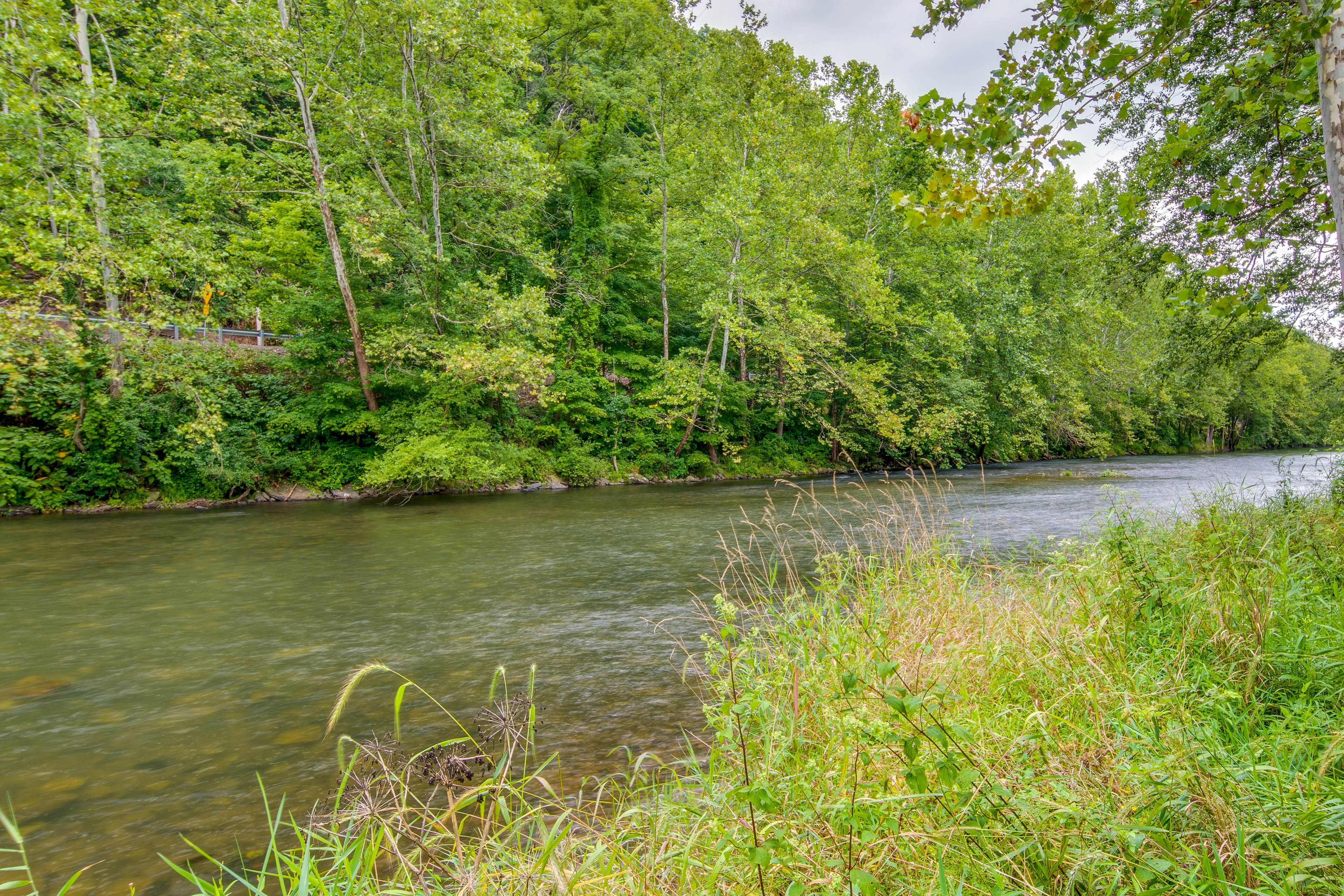 Sinnamahoning Creek On-Site | Nearby State Park