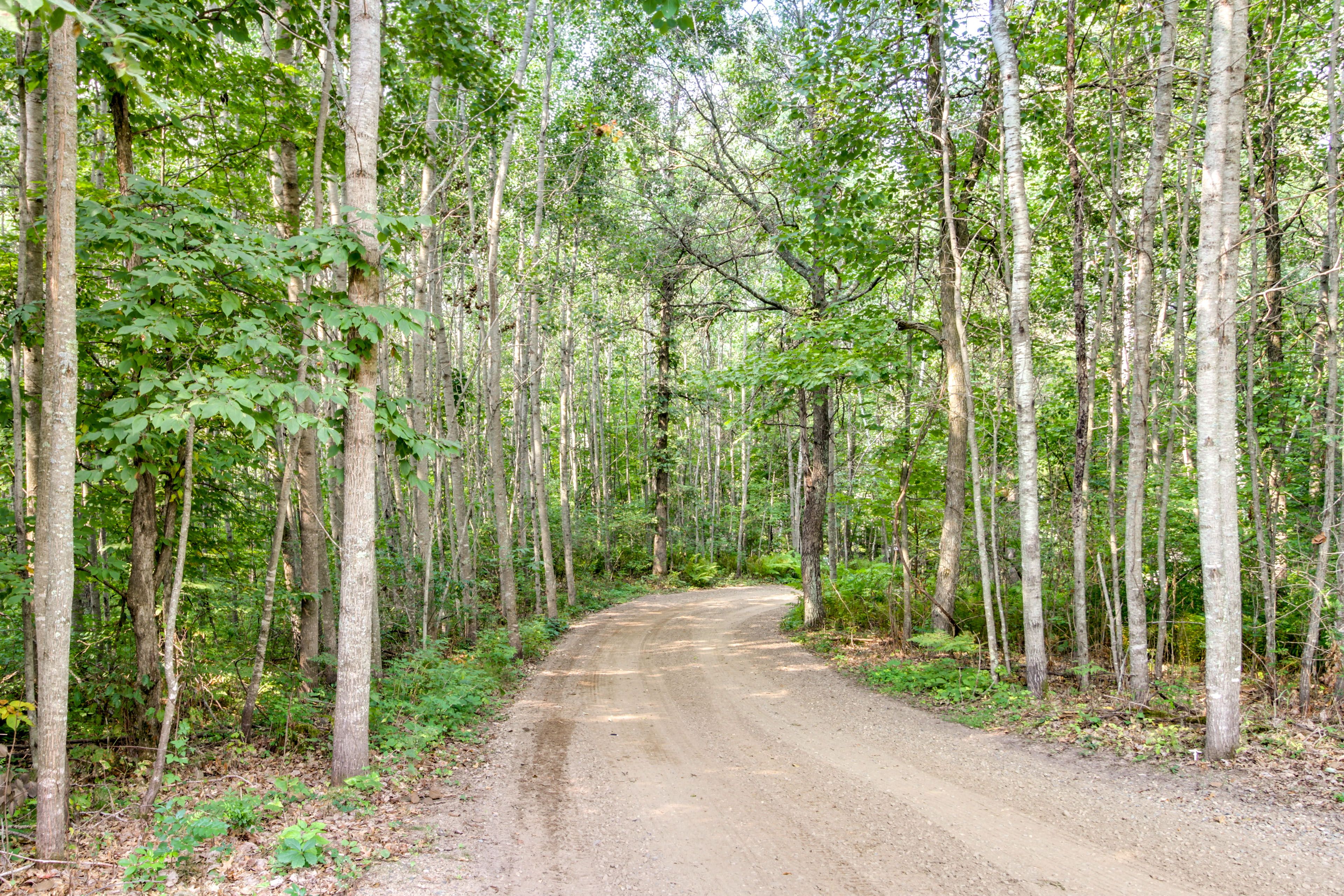 Long Driveway | 7-Acre Property