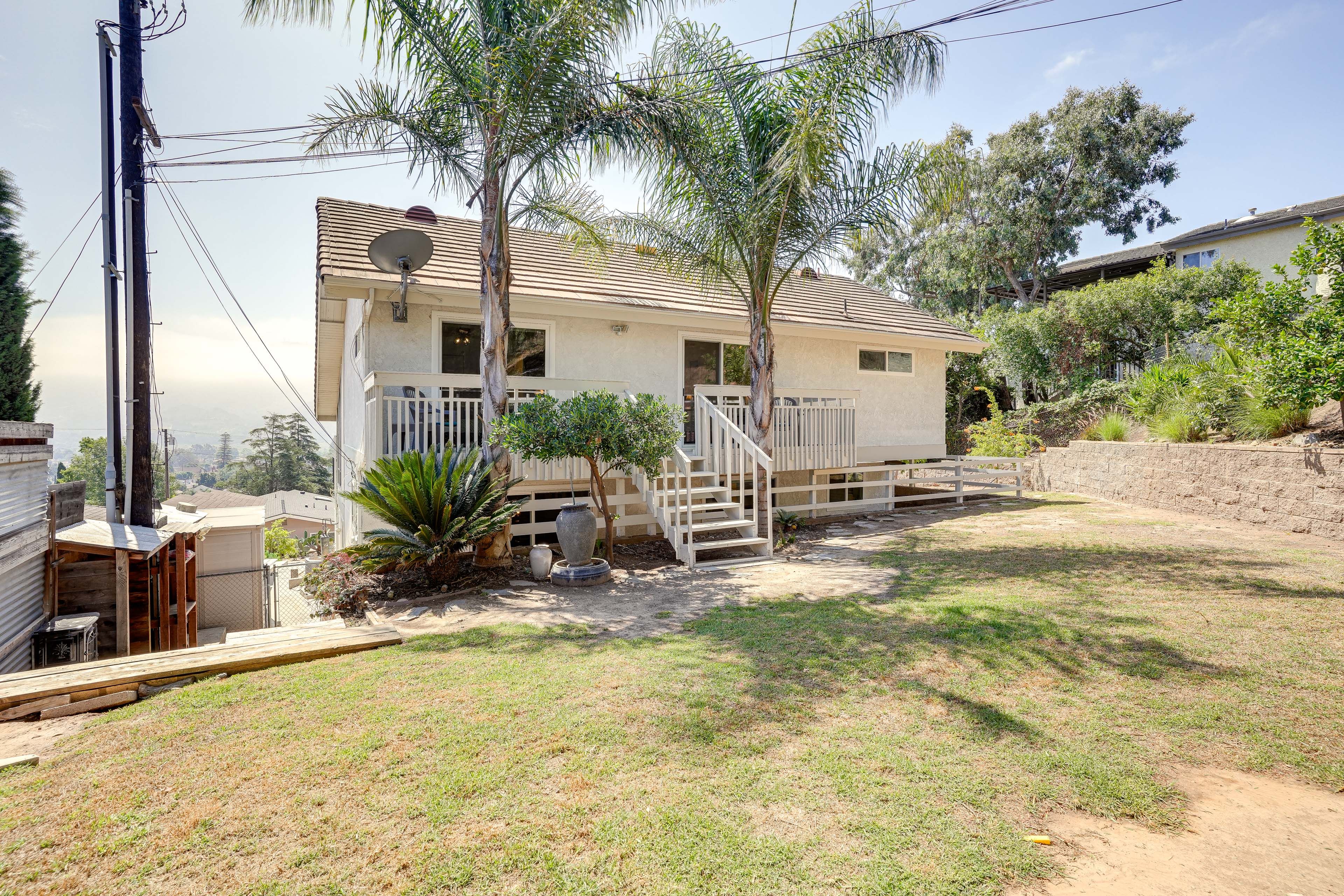 Backyard | Picnic Table