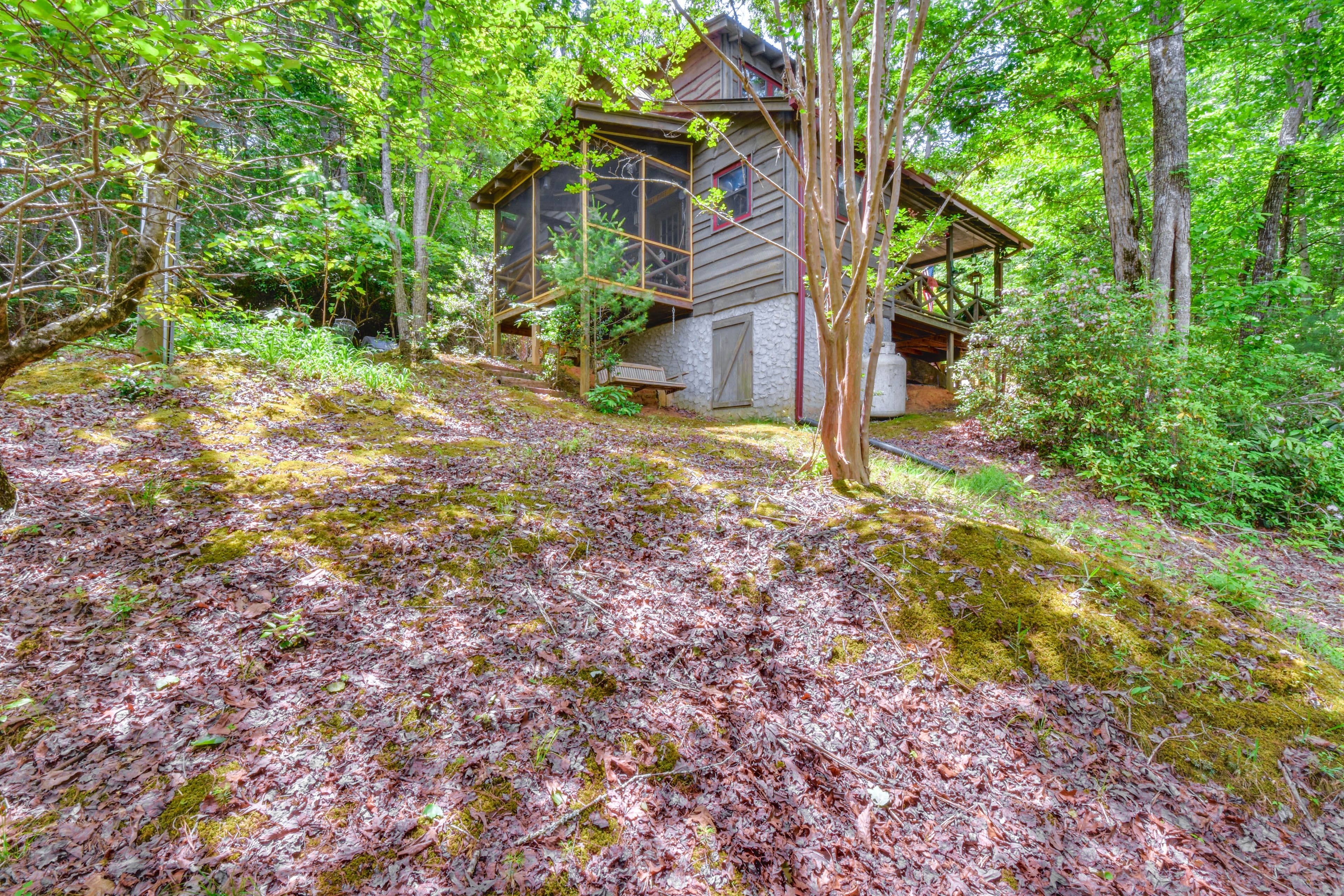 Cabin Exterior
